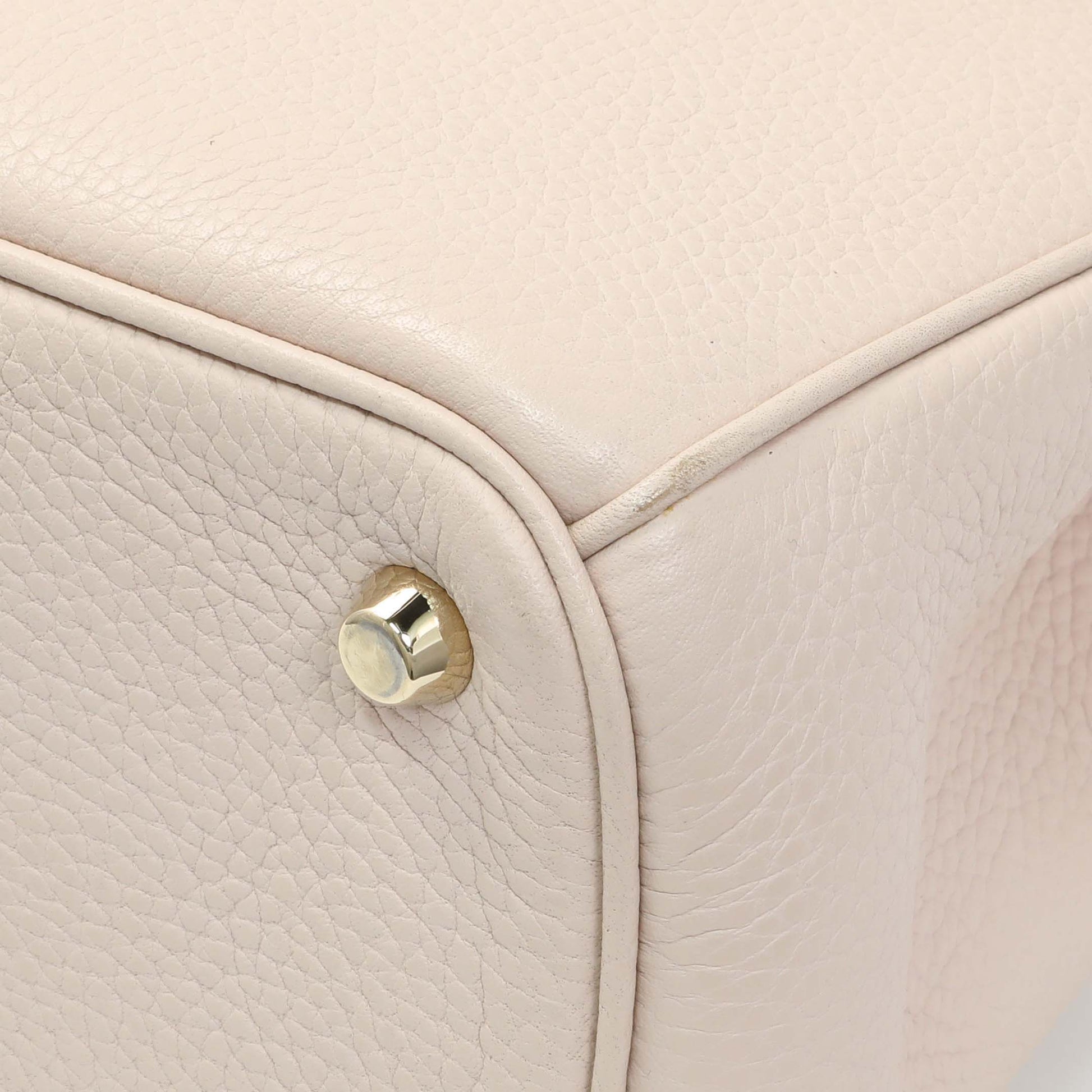 Exclusive Christian Dior Rose Poudre Bullcalf Medium Diorissimo — Alternate View 7