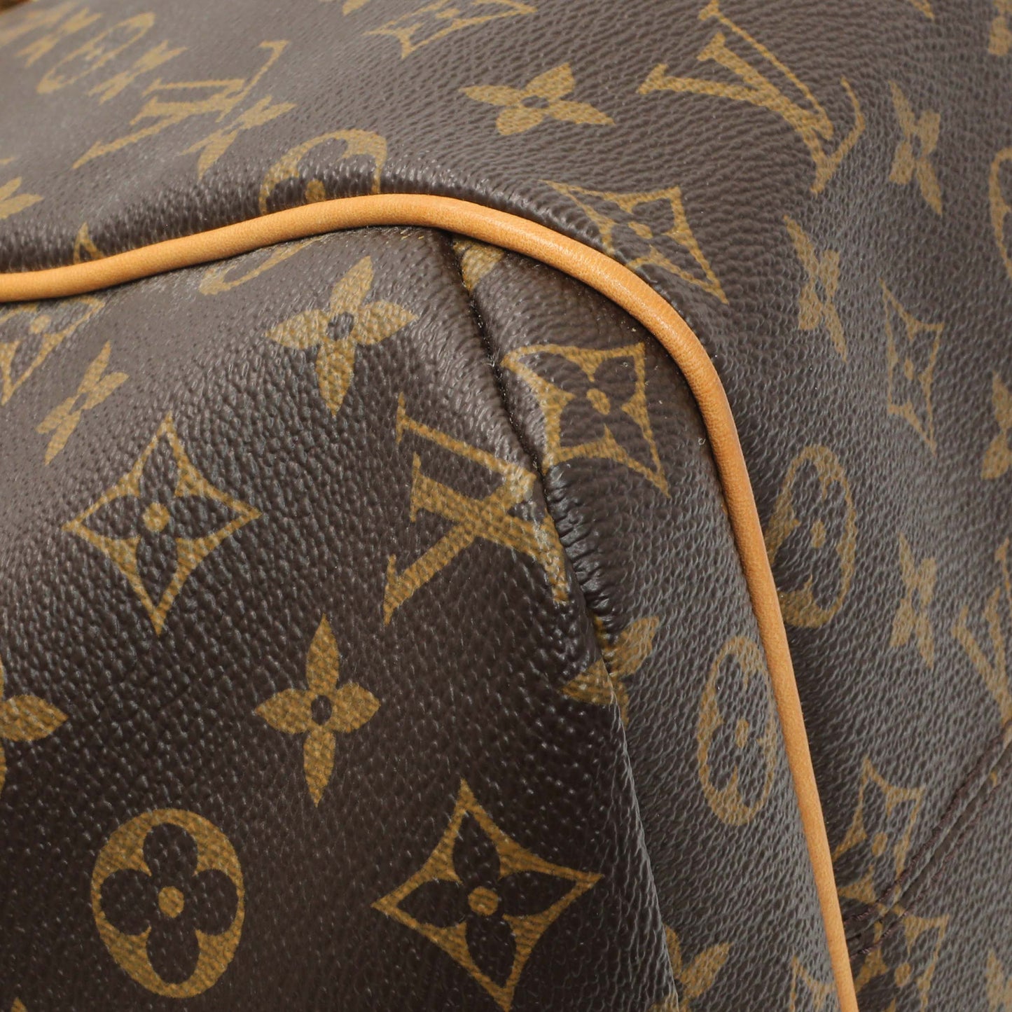 Exclusive Louis Vuitton Monogram Totally MM — Lifestyle View
