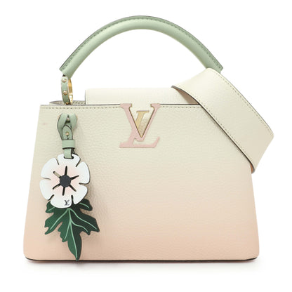 Exclusive Louis Vuitton Taurillon Capucines BB — Front View