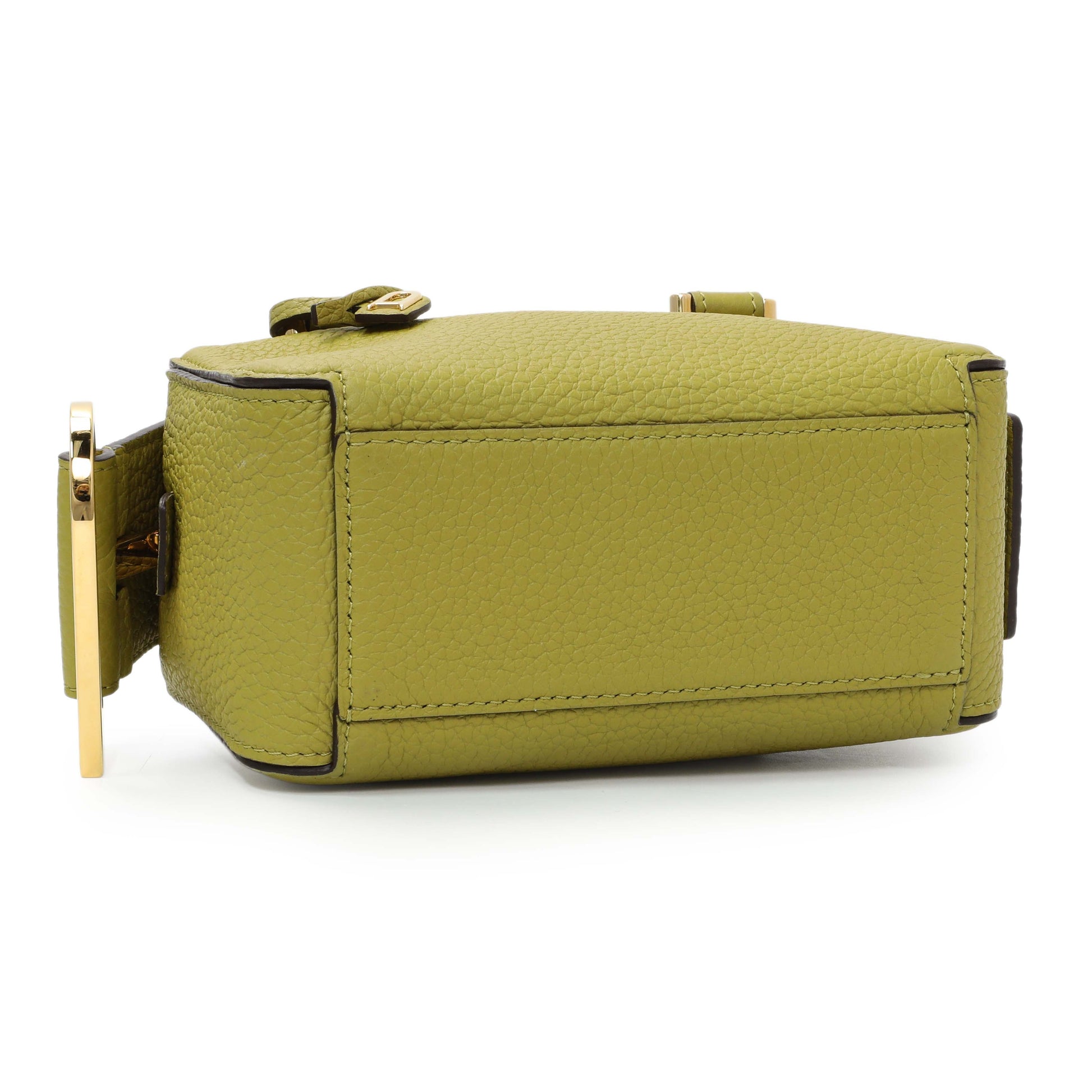 Exclusive Delvaux Kiwi Taurillon Soft Leather Cool Box Nano — Back View