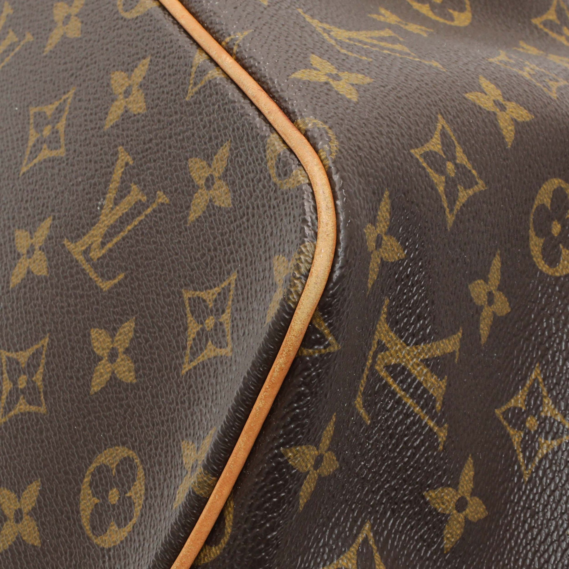 Exclusive Louis Vuitton Monogram Palermo PM — Detail View