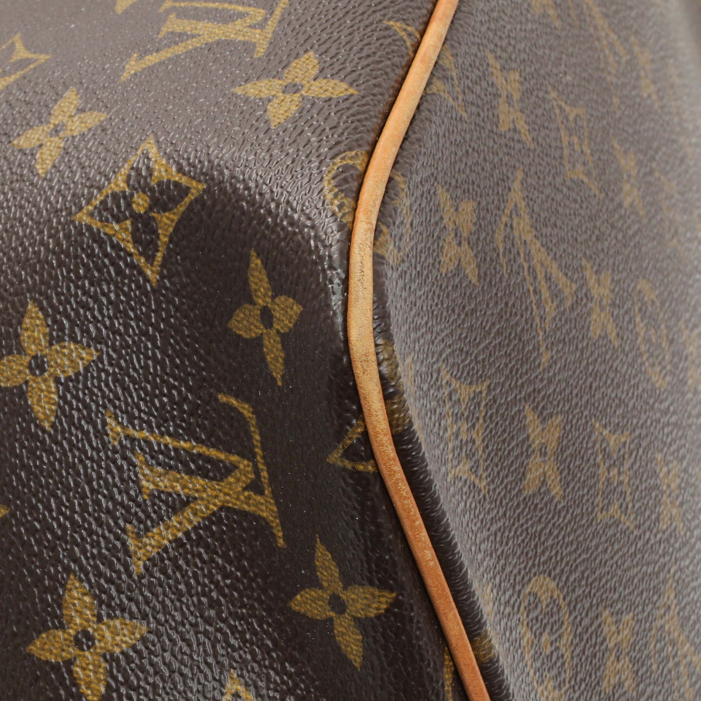 Exclusive Louis Vuitton Monogram Palermo PM — Lifestyle View