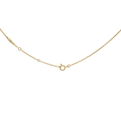 Exclusive Christian Dior 18K Yellow Gold Diamond Mother of Pearl Rose des Vents Necklace — Top View