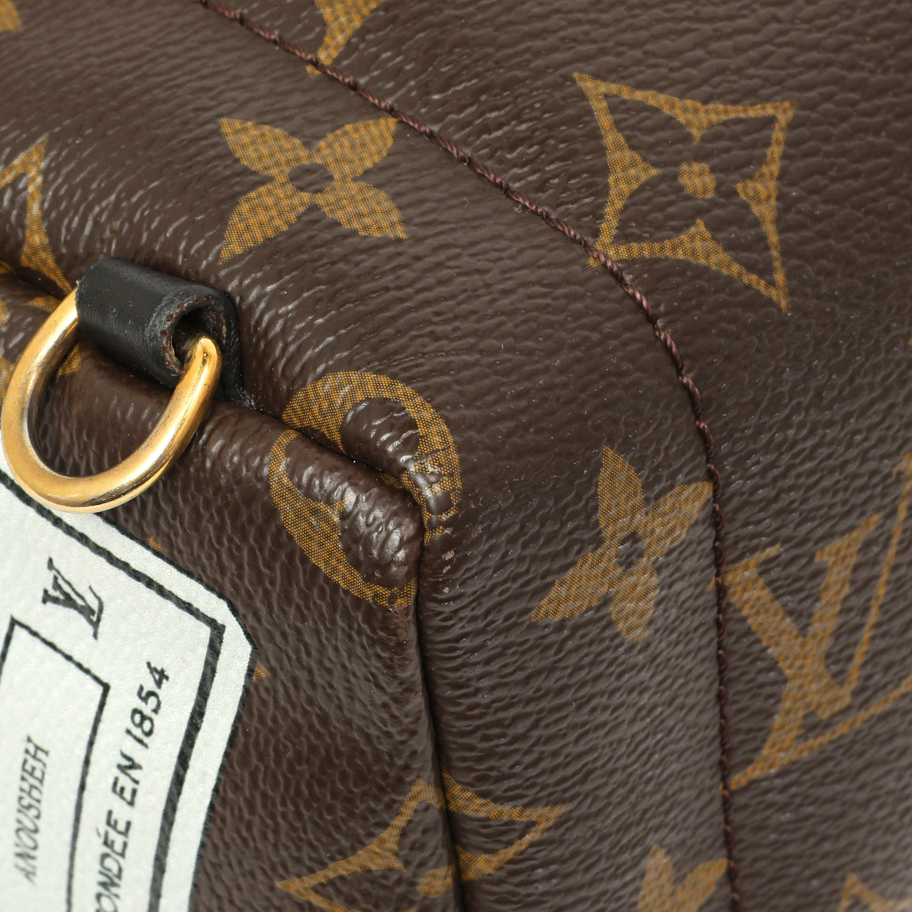 Exclusive Louis Vuitton Monogram My World Tour Palm Springs Backpack Mini — Lifestyle View