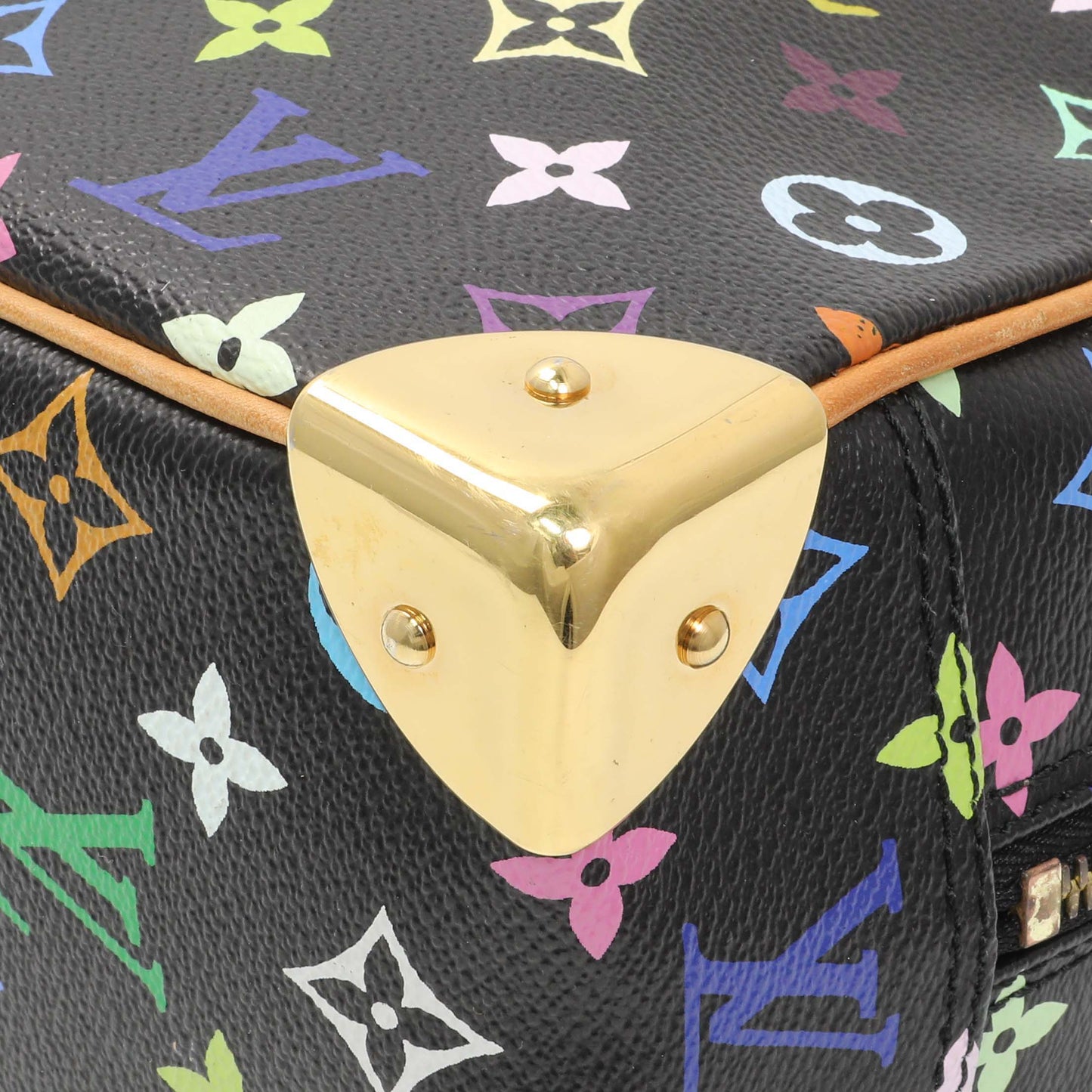 Exclusive Louis Vuitton Monogram Multicolor Trouville — Alternate View 7
