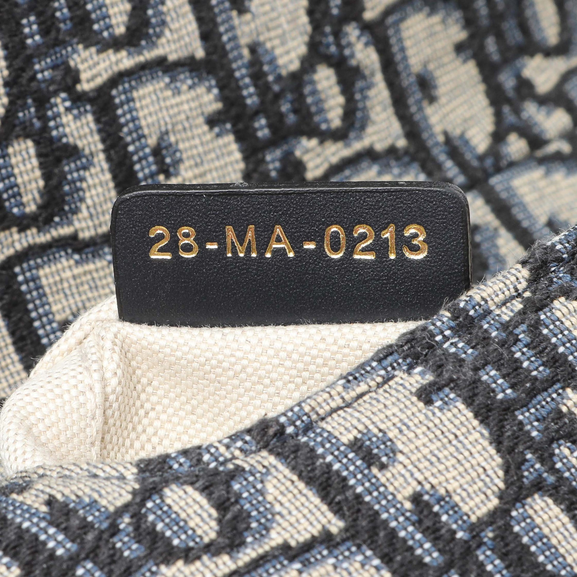 Exclusive Christian Dior Oblique Mini Saddle Bag — Lifestyle View