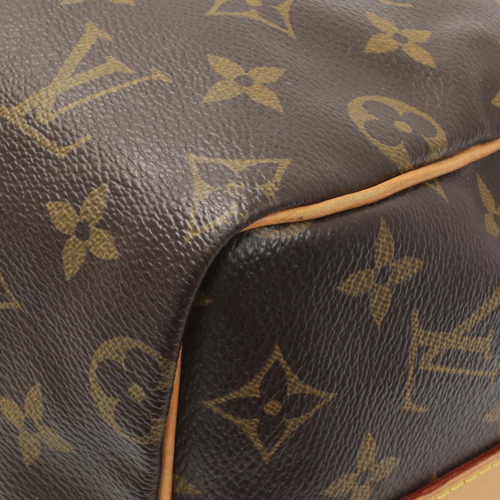 Exclusive Louis Vuitton Monogram Speedy Bandouliere 25 — Detail View