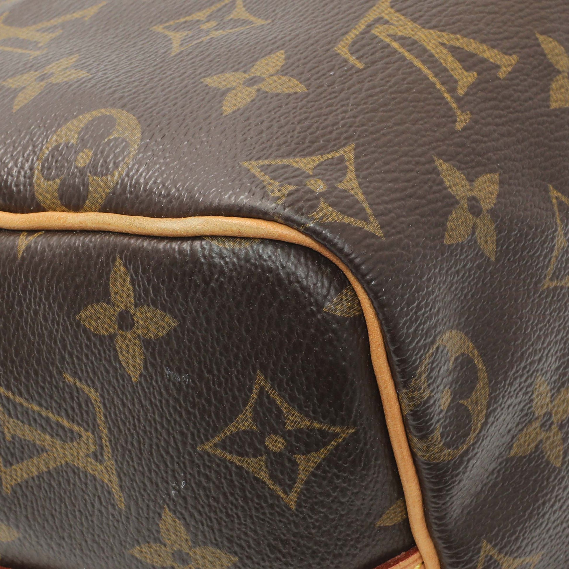 Exclusive Louis Vuitton Monogram Speedy Bandouliere 25 — Lifestyle View