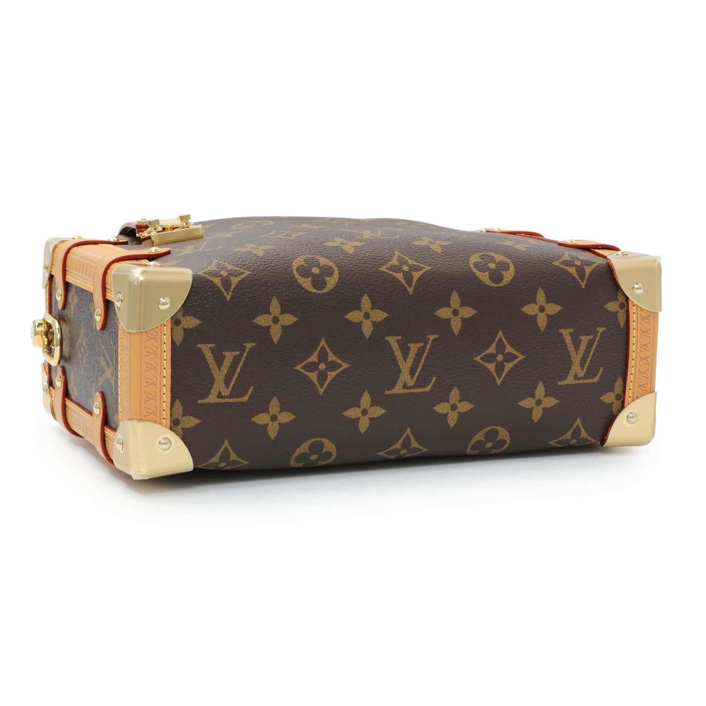 Exclusive Louis Vuitton Monogram Side Trunk MM — Back View