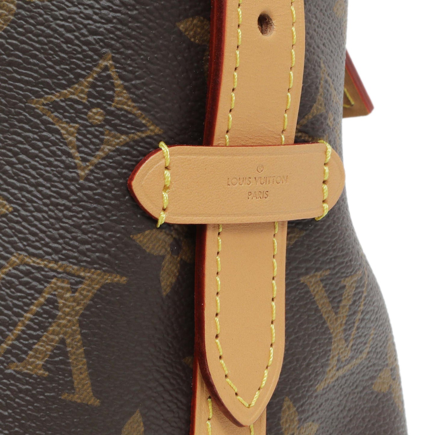Exclusive Louis Vuitton Monogram Carryall PM — Detail View