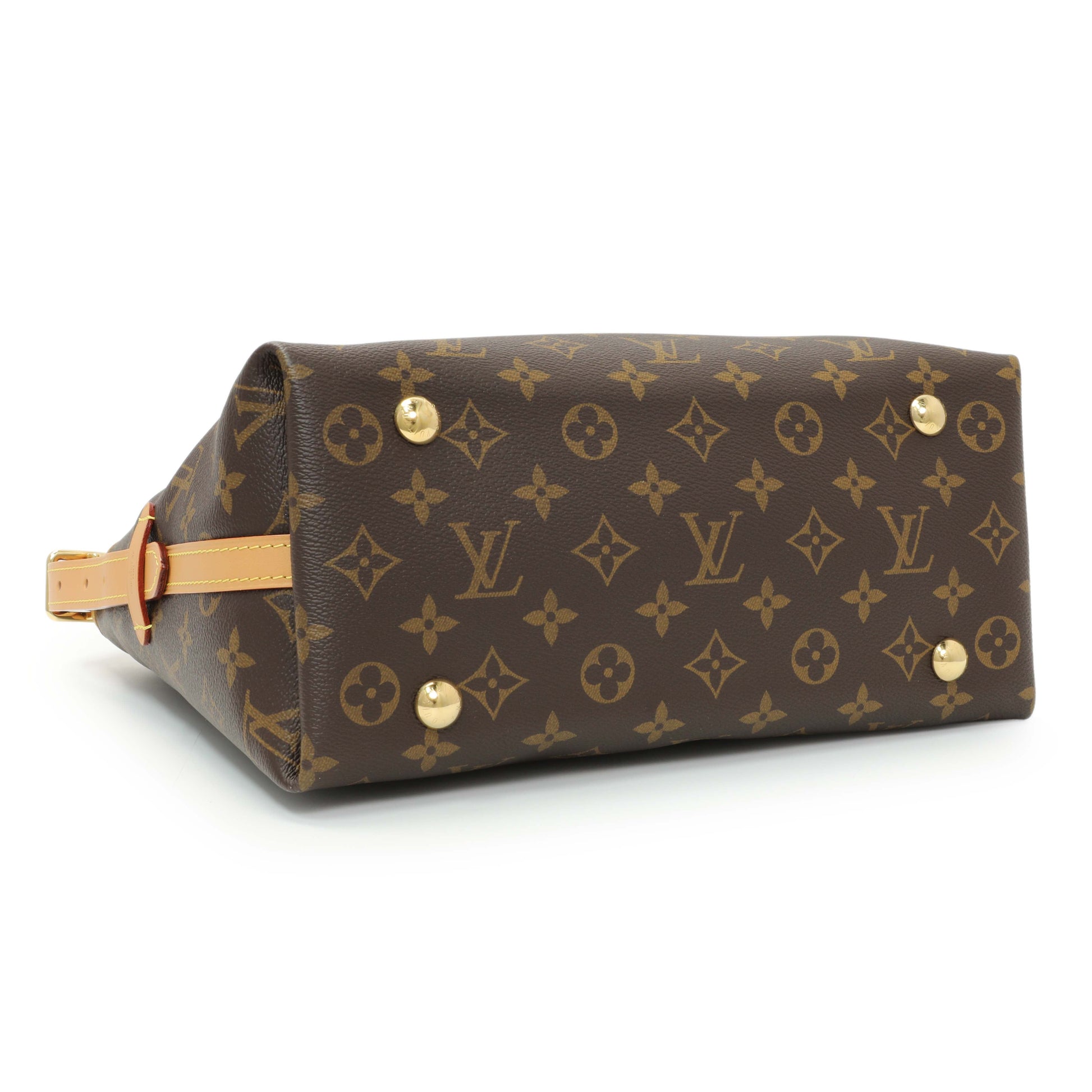 Exclusive Louis Vuitton Monogram Carryall PM — Back View