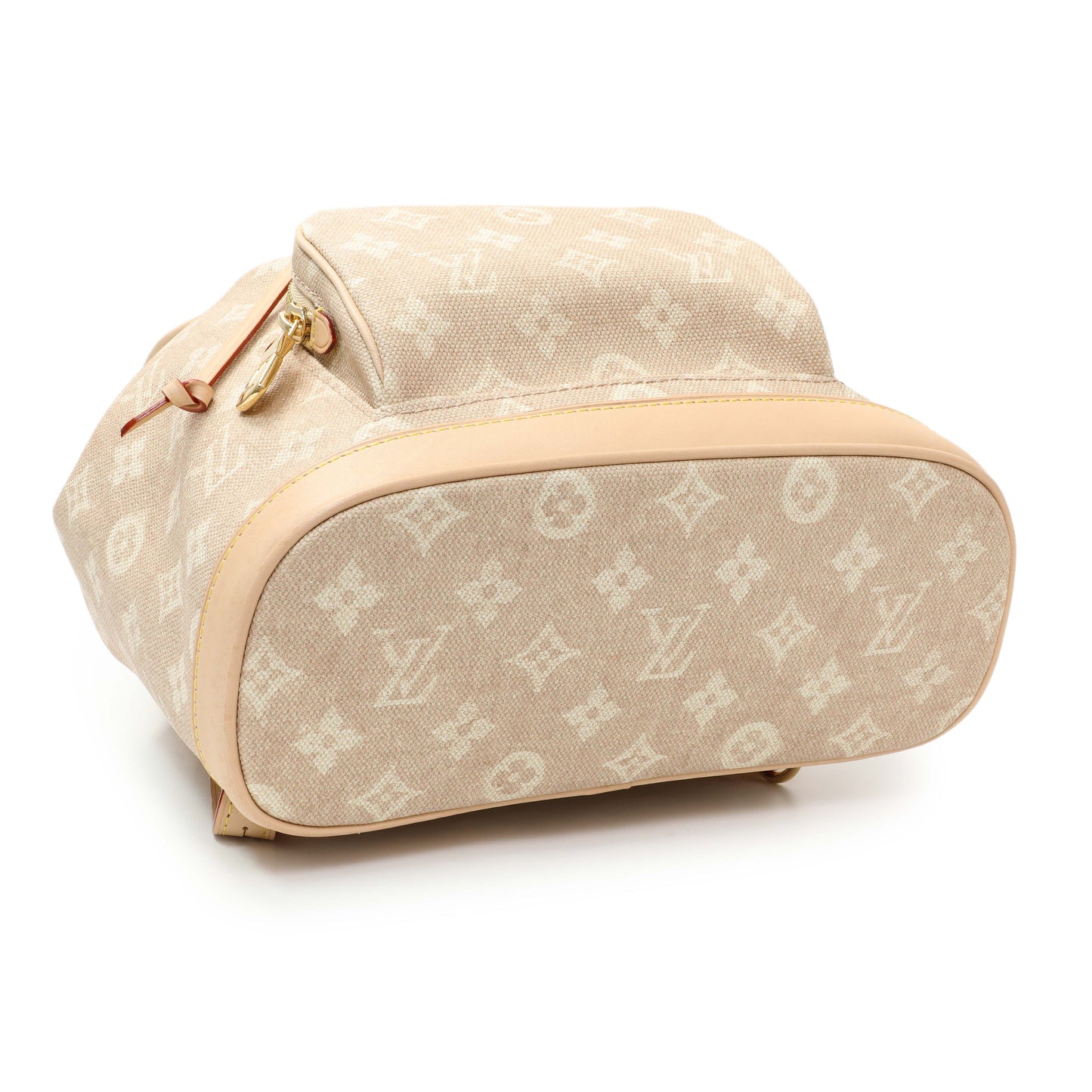 Exclusive Louis Vuitton Meowgram Montsouris PM — Back View