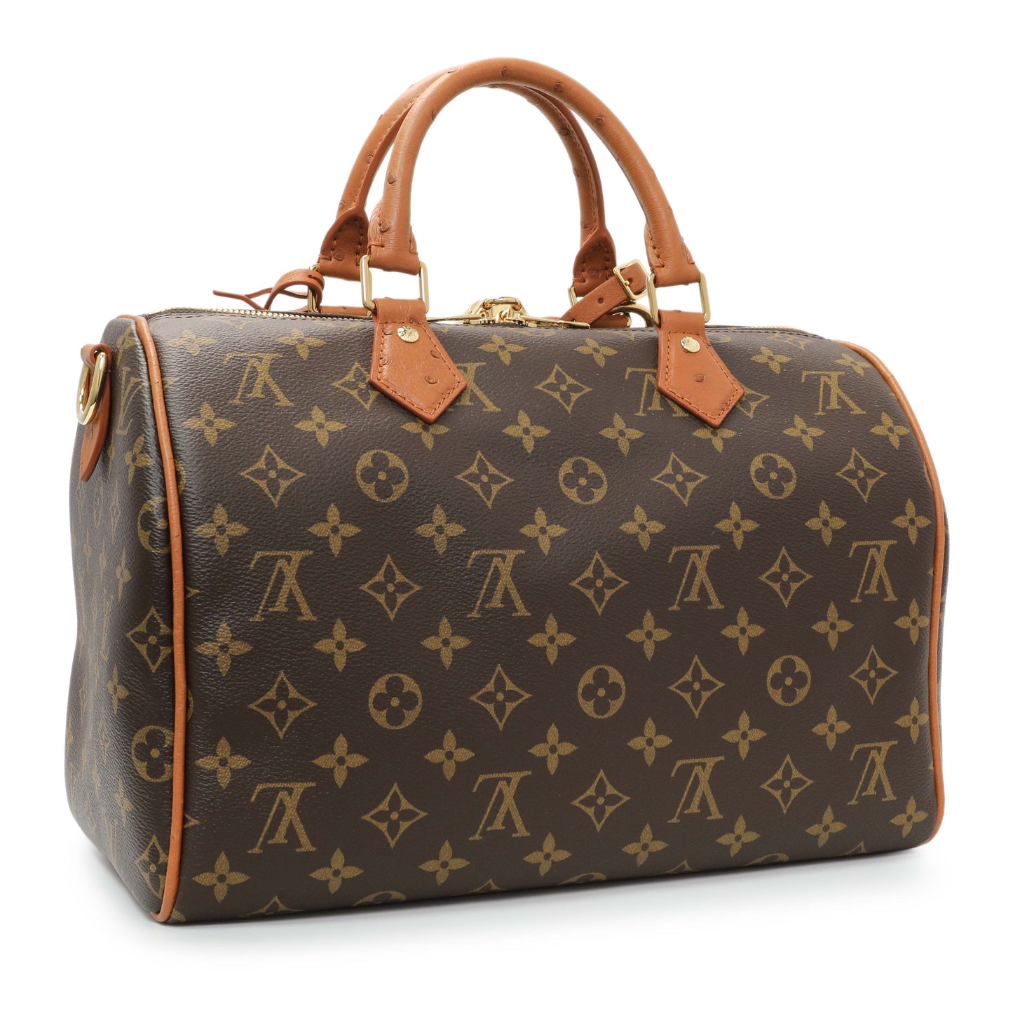 Exclusive Louis Vuitton Monogram Speedy Soft 30 Boho — Side View