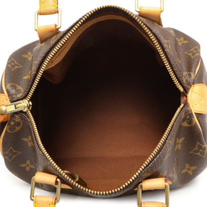 Exclusive Louis Vuitton Monogram Speedy 25 — Lifestyle View