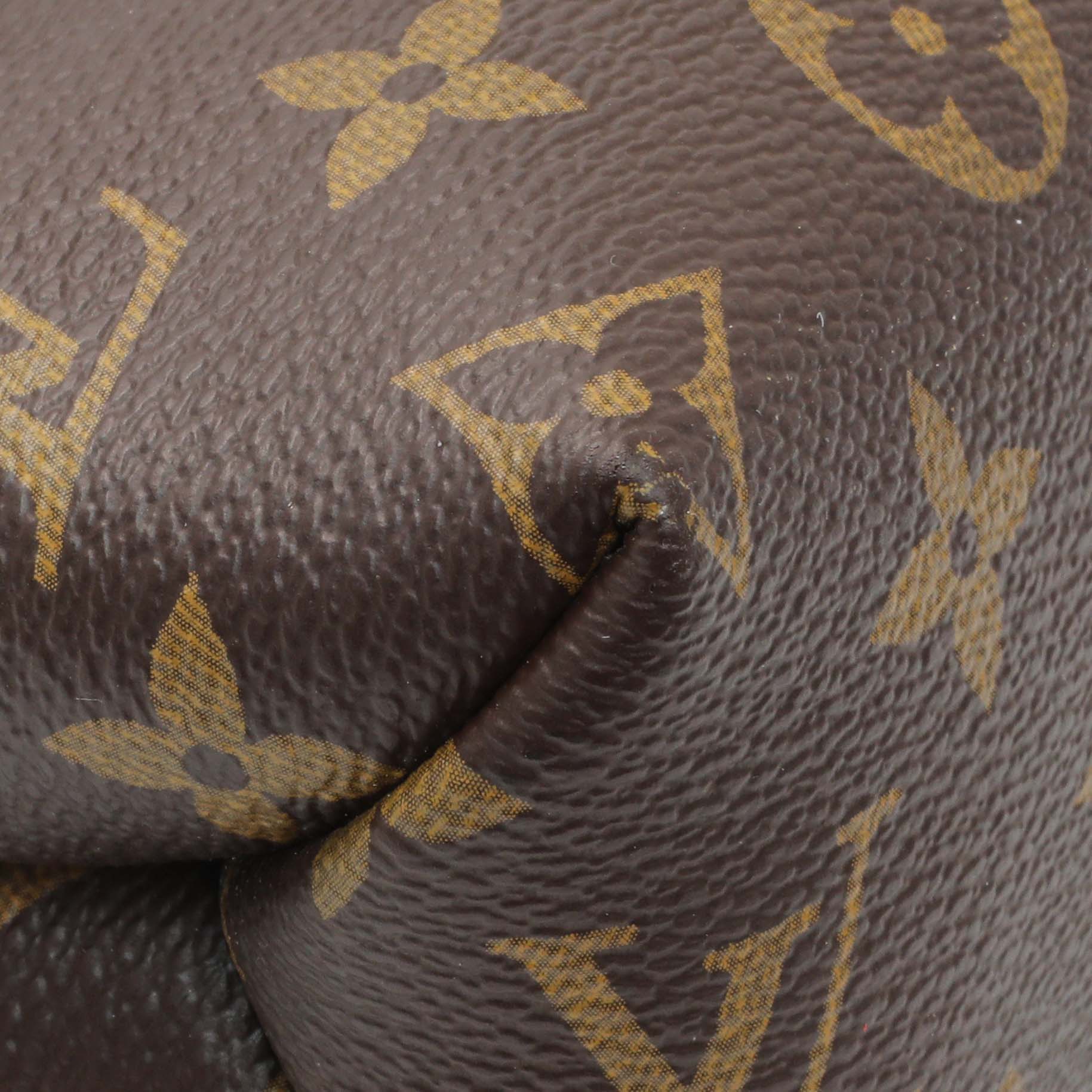 Exclusive Louis Vuitton Monogram Saint Placide — Top View