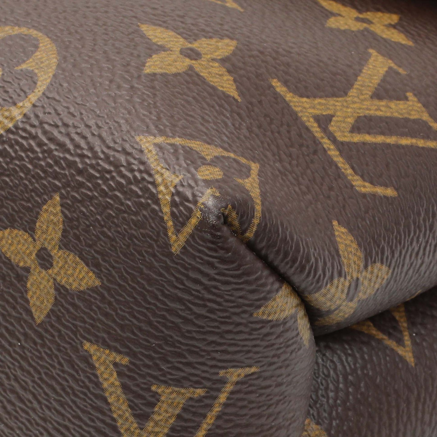 Exclusive Louis Vuitton Monogram Saint Placide — Detail View