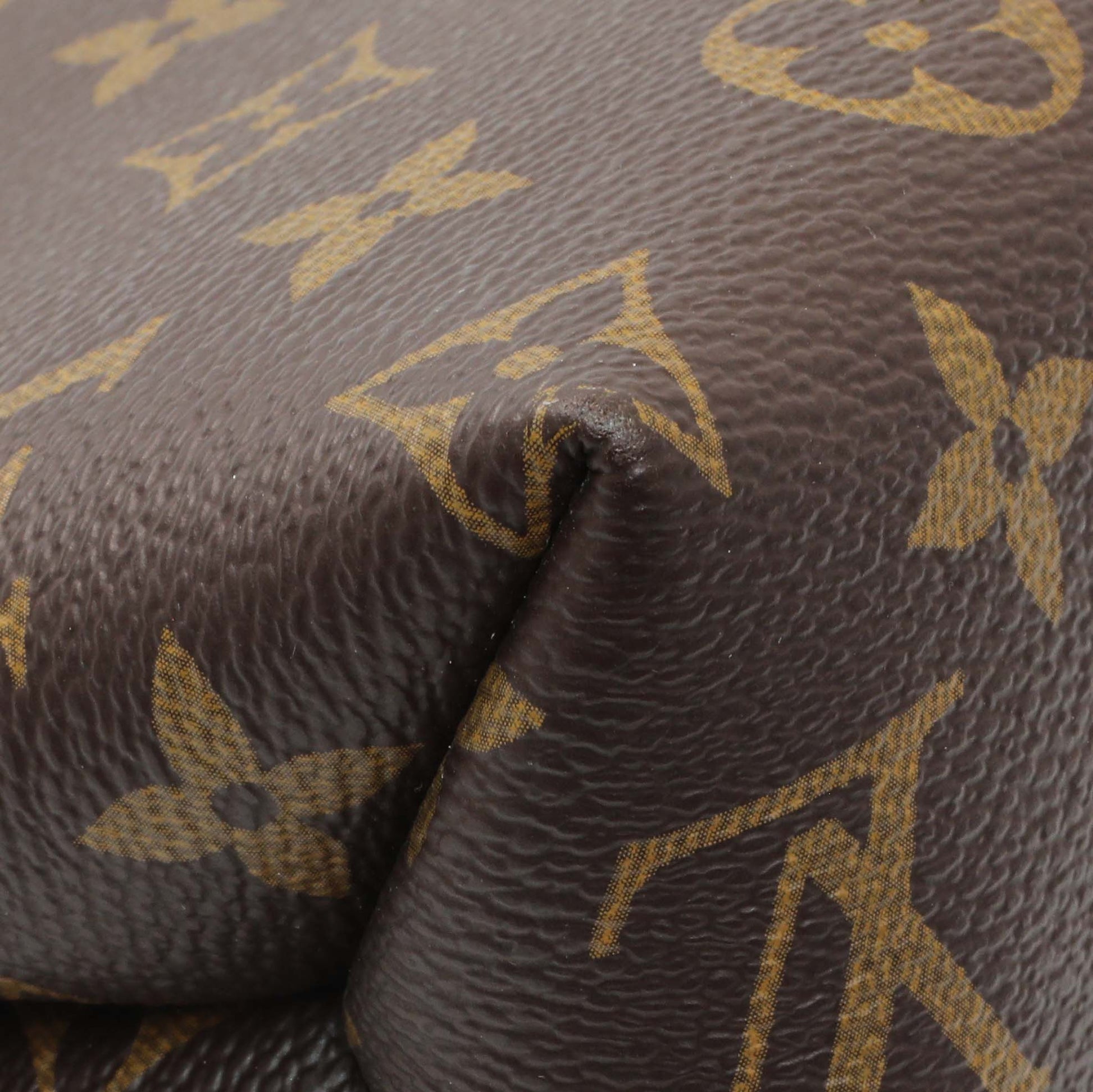 Exclusive Louis Vuitton Monogram Saint Placide — Lifestyle View