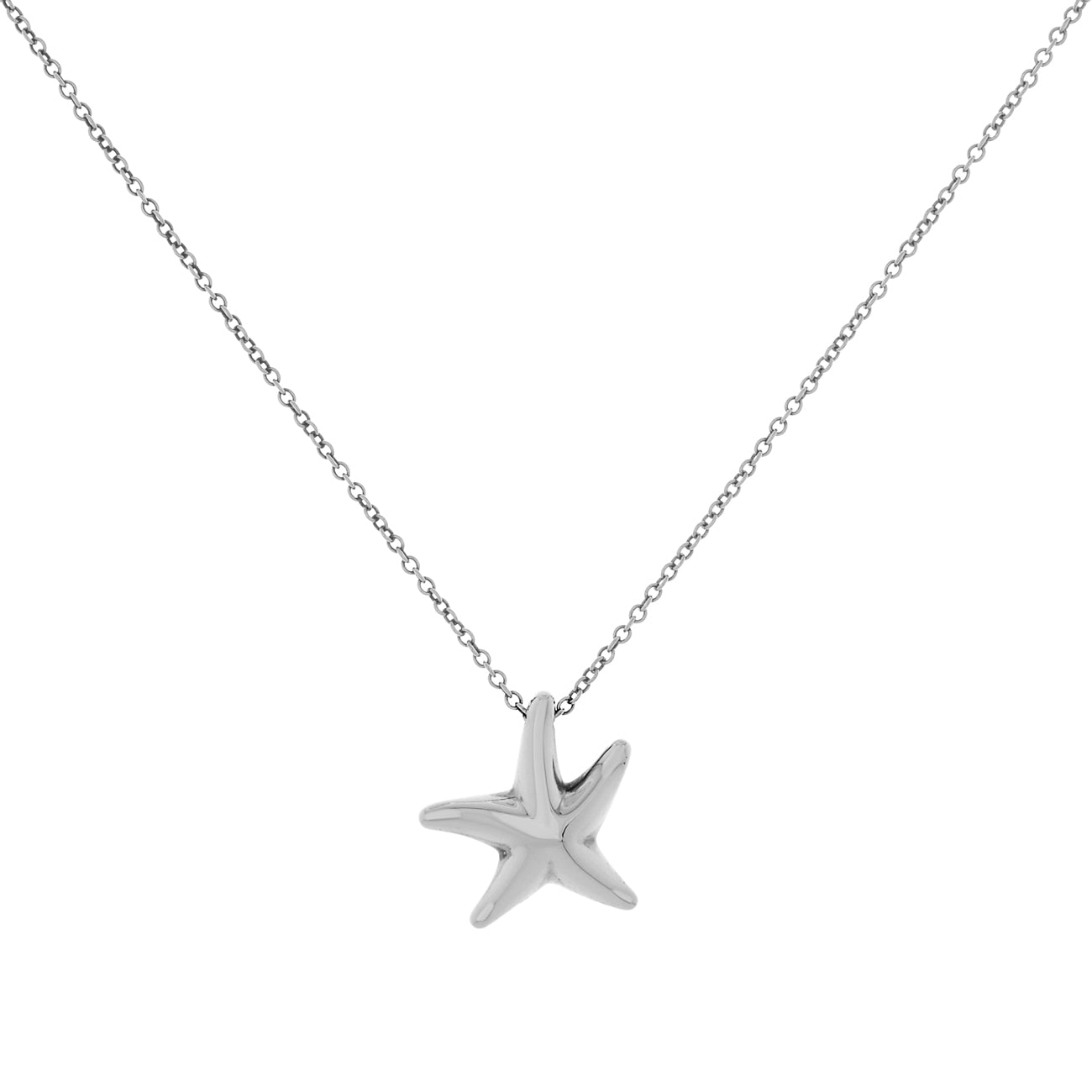 Exclusive Tiffany & Co. Sterling Silver Elsa Peretti Starfish Pendant — Front View