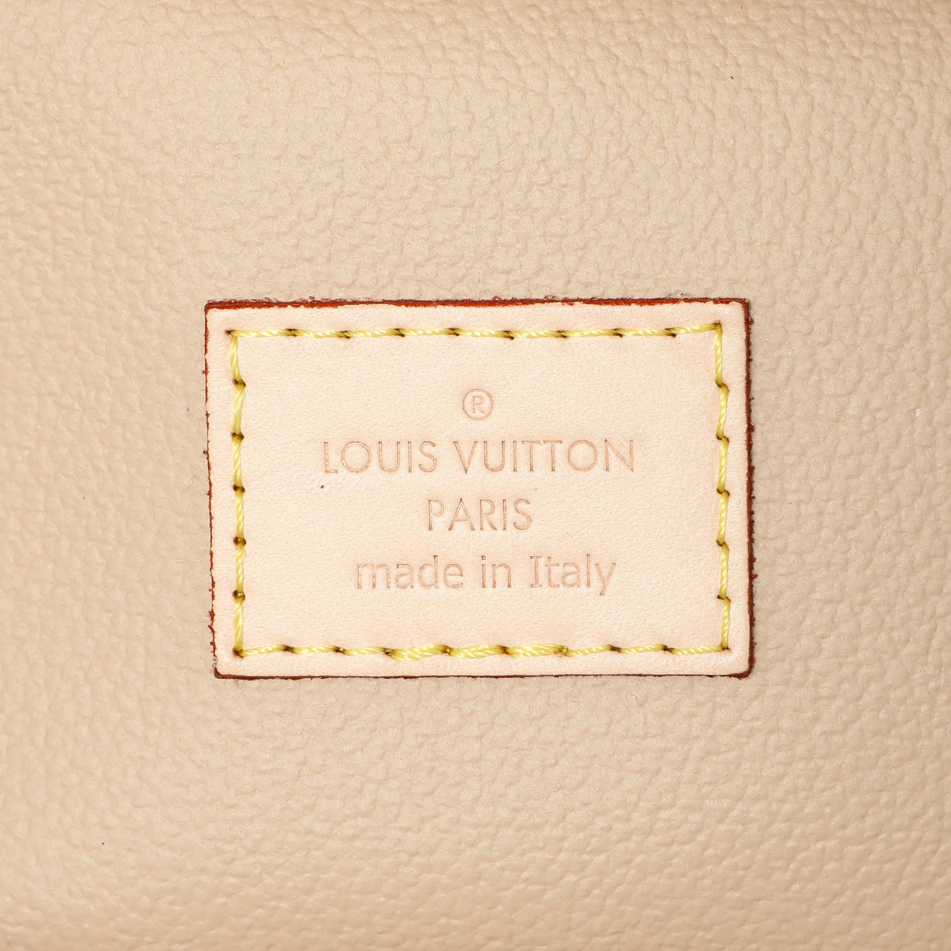 Exclusive Louis Vuitton Monogram Nano Nice — Detail View