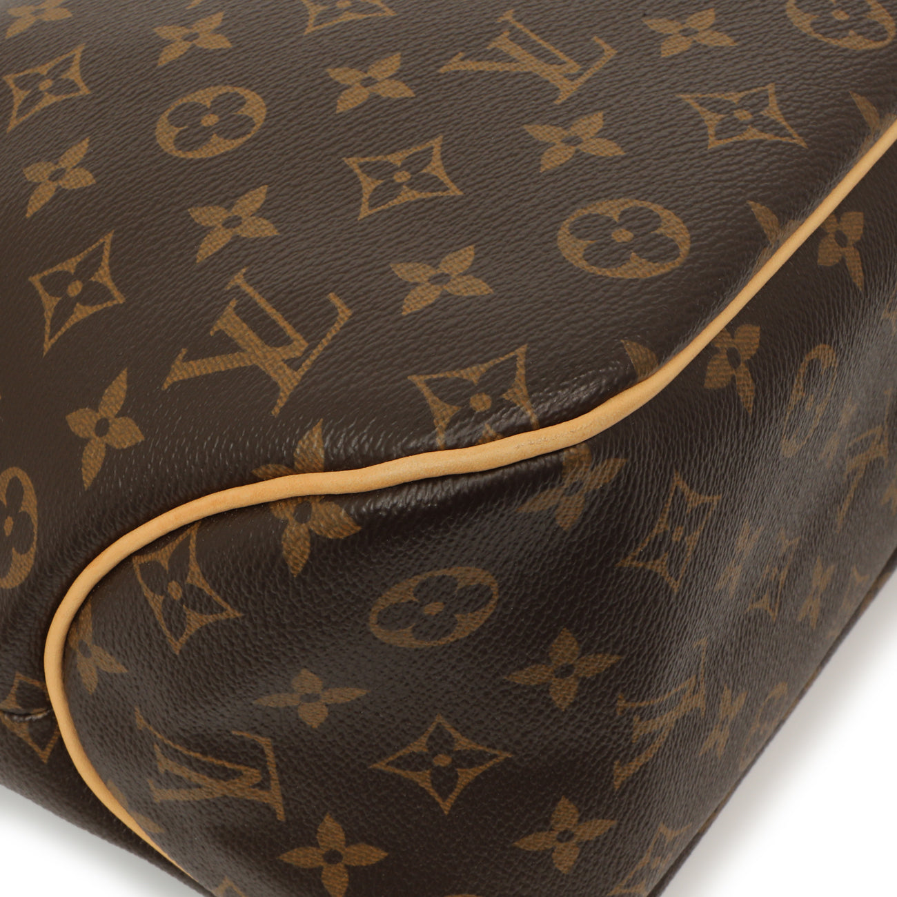 Exclusive Louis Vuitton Monogram Delightful PM — Detail View