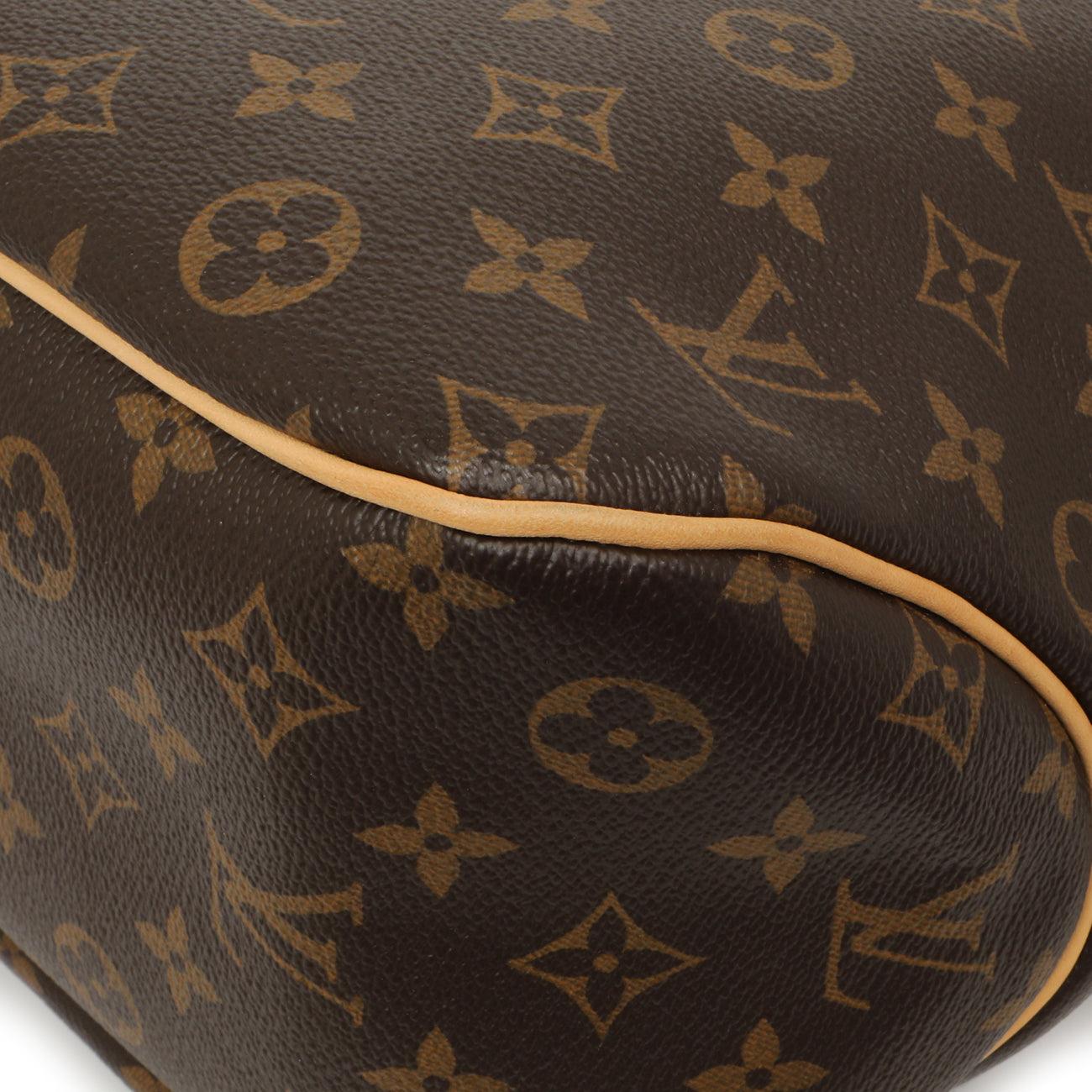 Exclusive Louis Vuitton Monogram Delightful PM — Lifestyle View