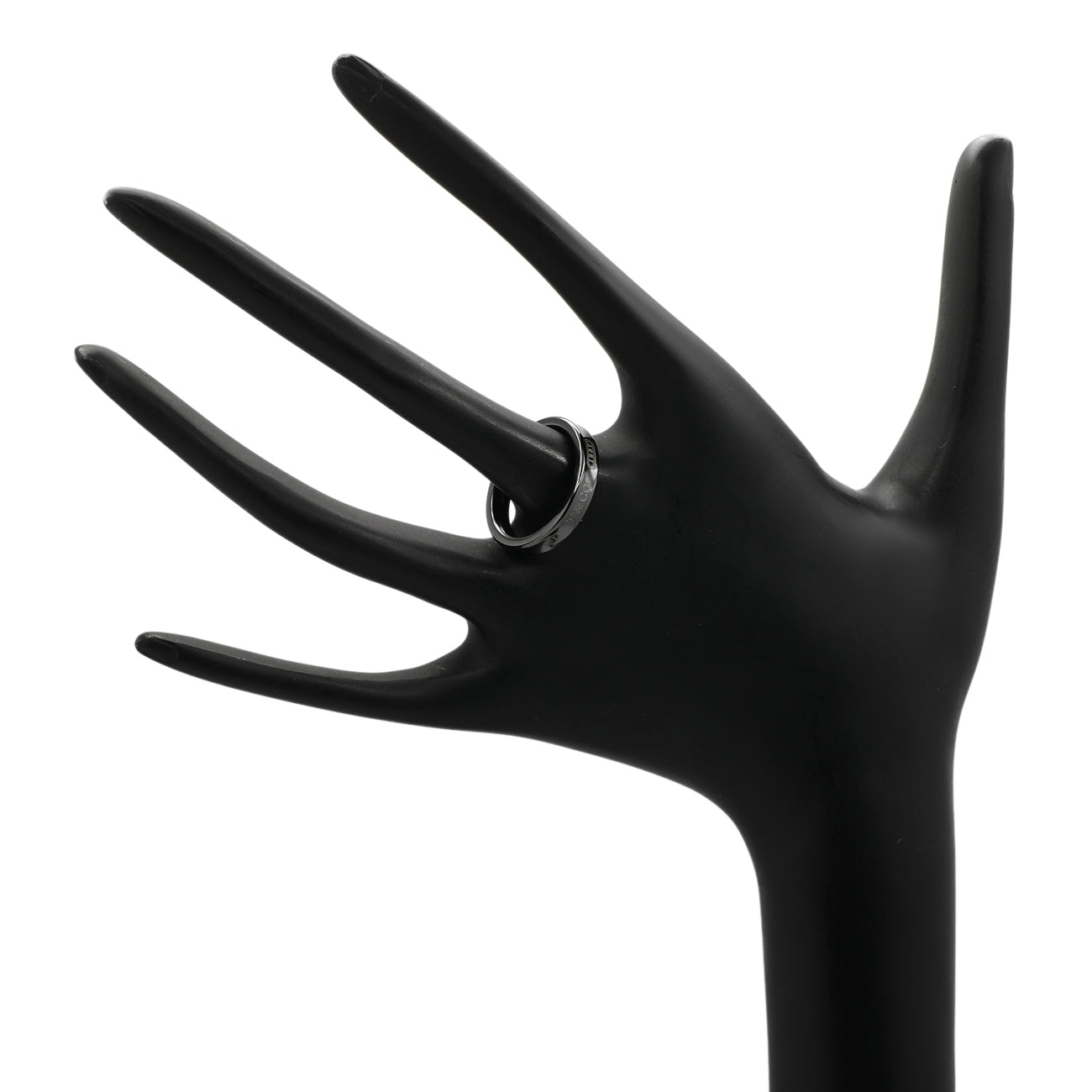 Exclusive Tiffany & Co. Titanium 1837 Narrow Ring — Back View