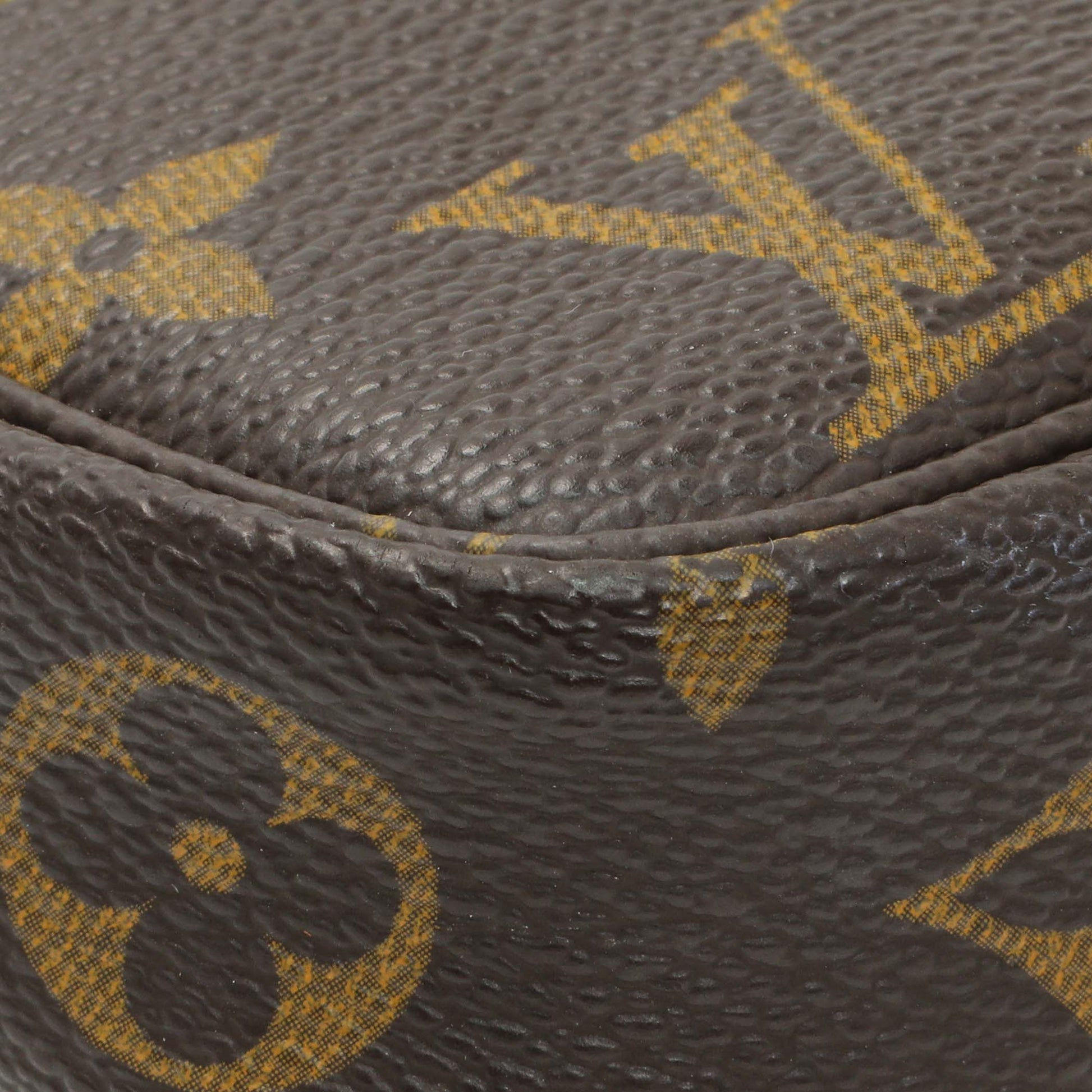 Exclusive Louis Vuitton Monogram Pochette Accessories — Lifestyle View