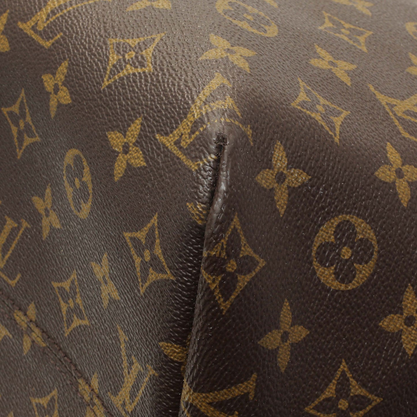 Exclusive Louis Vuitton Monogram Raspail GM — Detail View