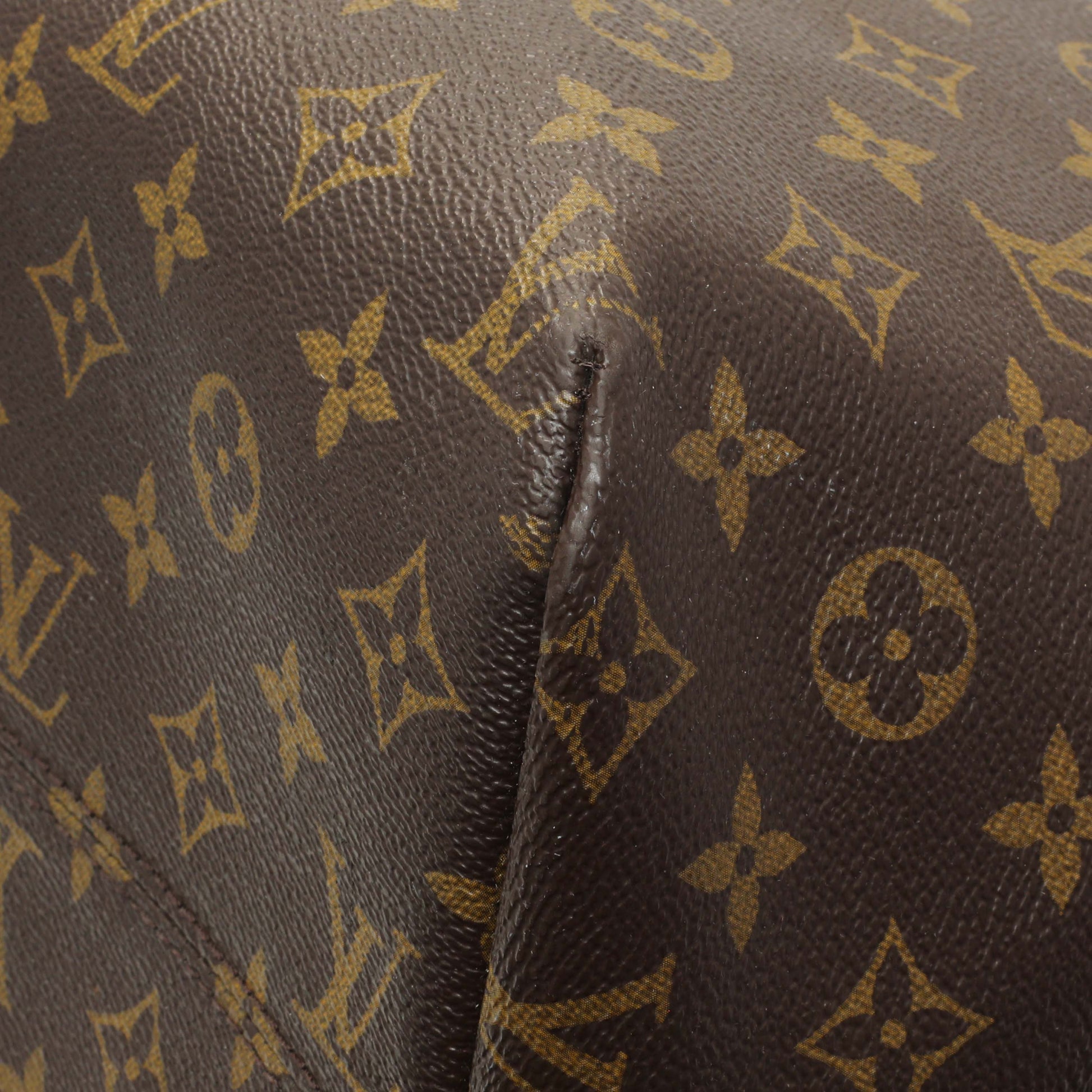 Exclusive Louis Vuitton Monogram Raspail GM — Lifestyle View