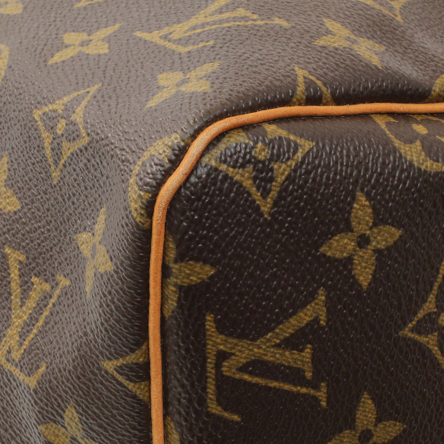 Exclusive Louis Vuitton Monogram Speedy 30 — Detail View