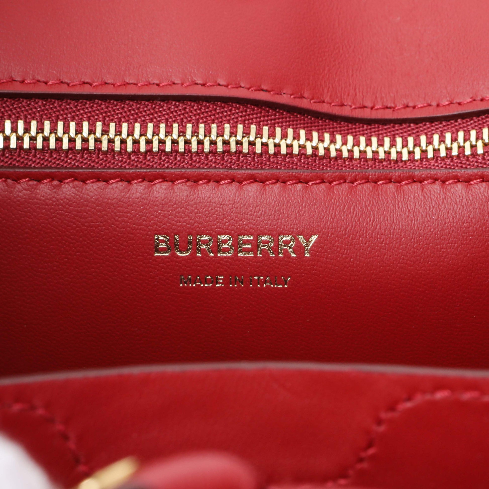 Exclusive Burberry Red Crocodile Embossed Calfskin Mini Frances Tote — Detail View