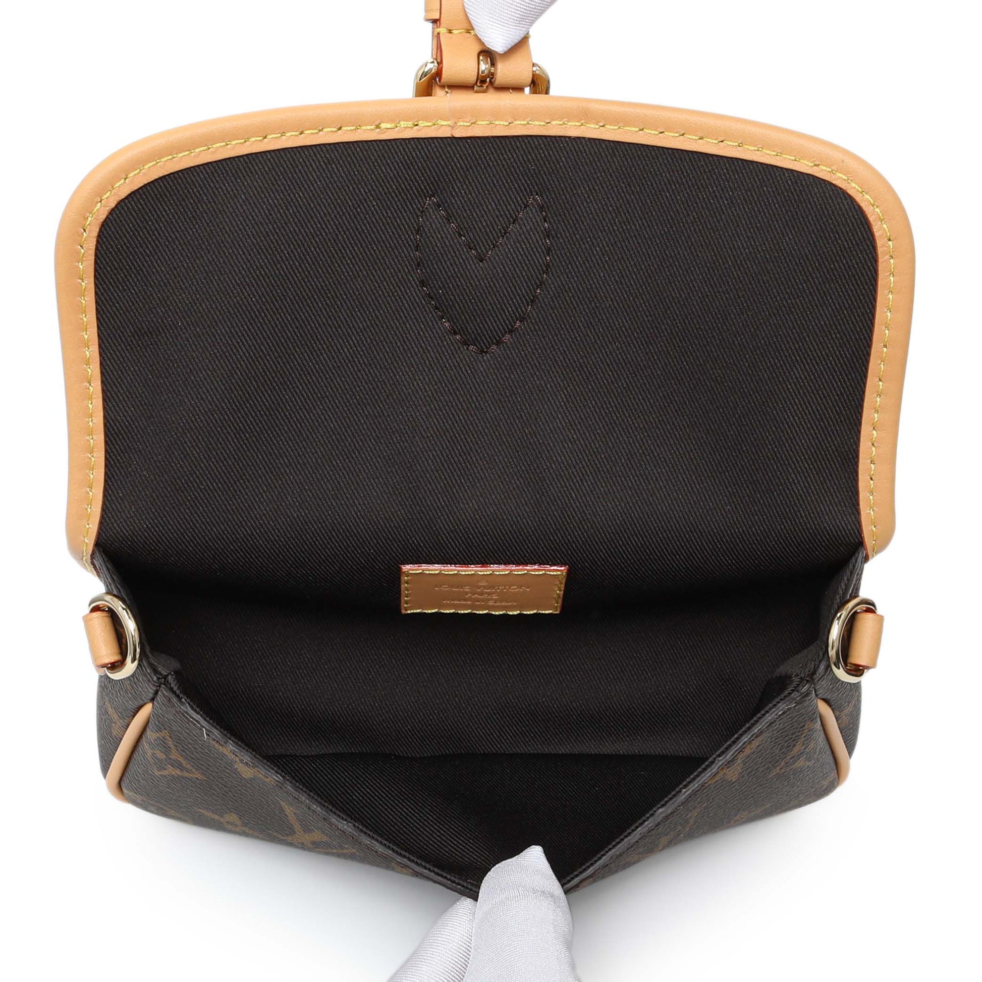 Exclusive Louis Vuitton Monogram Nano Diane — Detail View