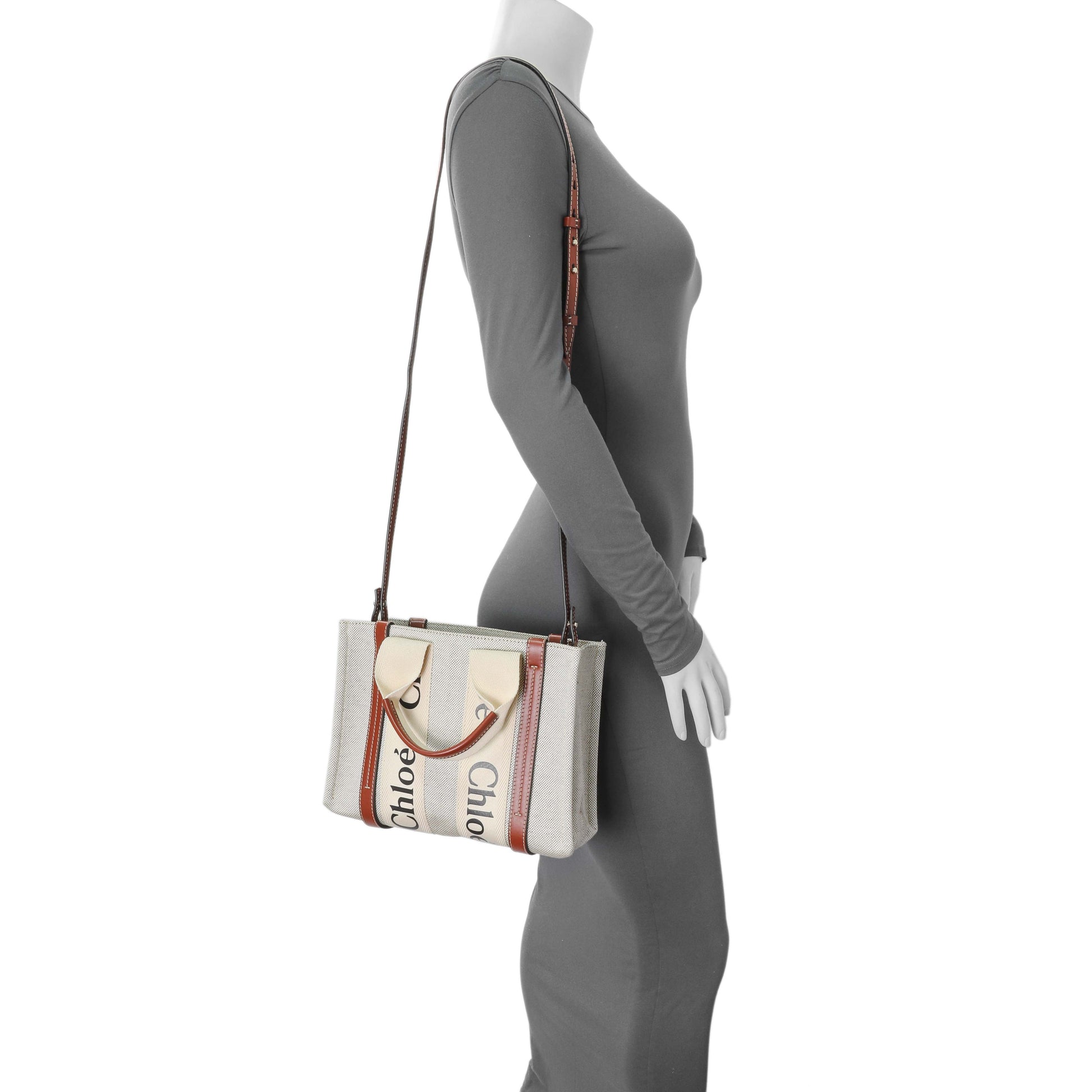 Exclusive Chloe Linen Calfskin Small Woody Ribbon Tote — Alternate View 11