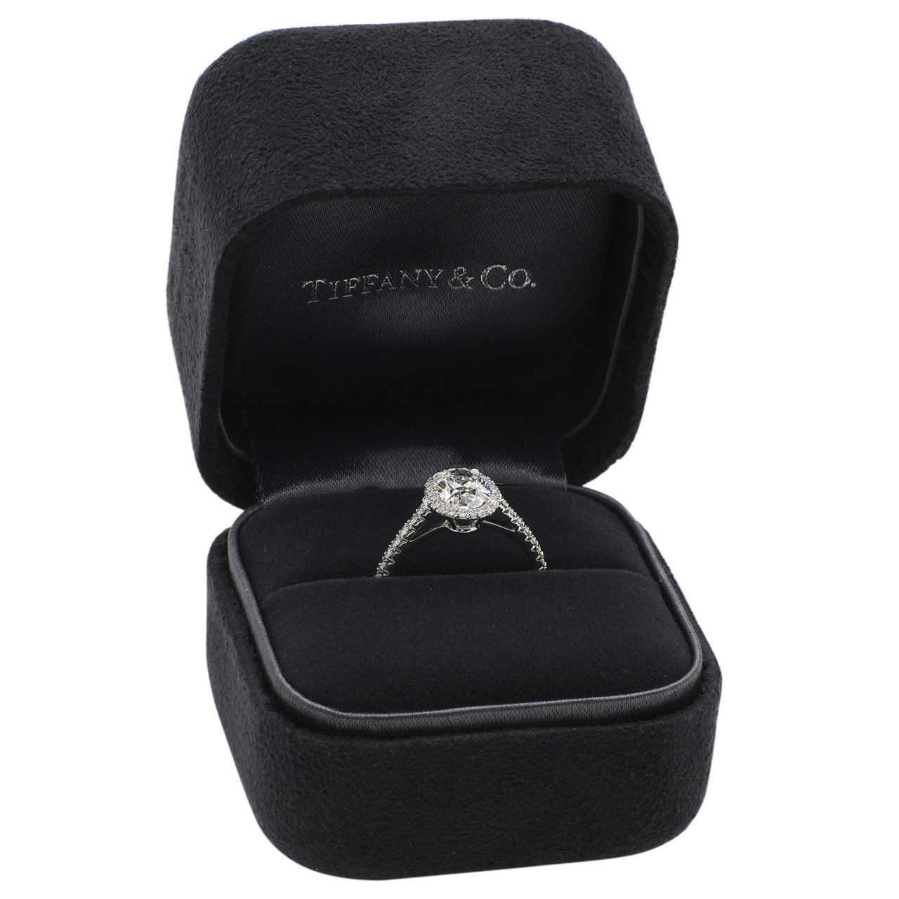 Exclusive Tiffany & Co. Platinum 1.01 Carat Oval Diamond Soleste Halo Engagement Ring — Detail View