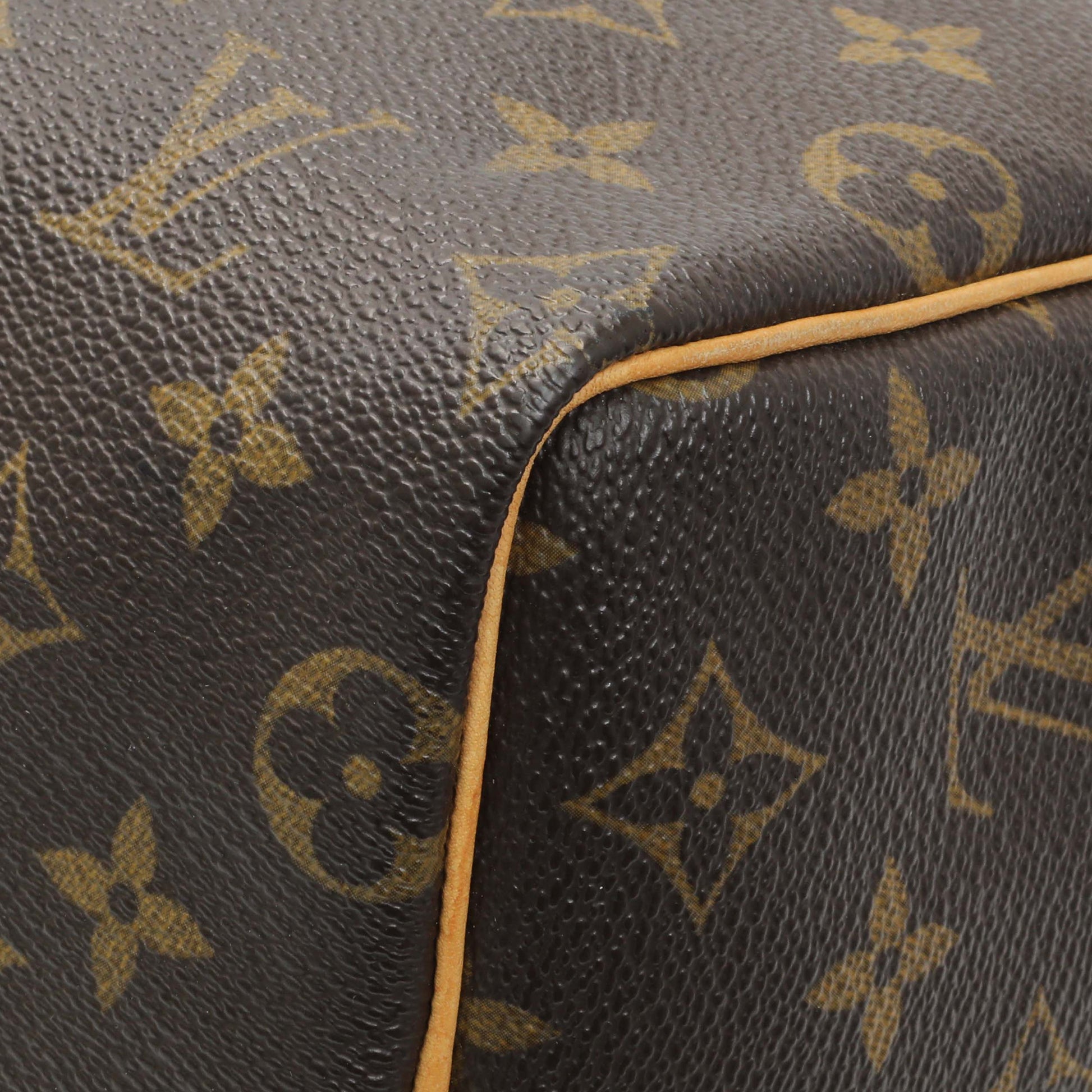 Exclusive Louis Vuitton Monogram Speedy 25 — Detail View