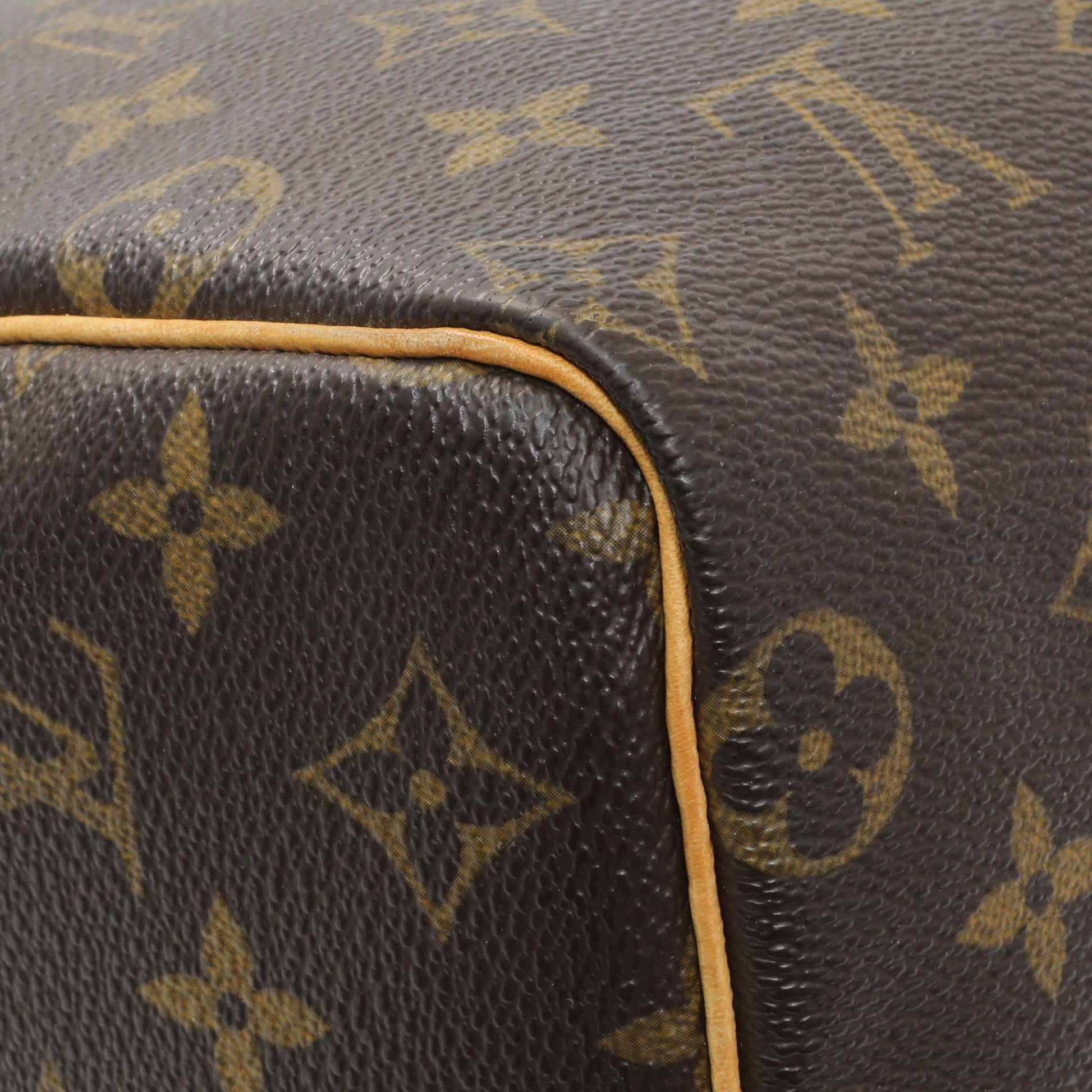 Exclusive Louis Vuitton Monogram Speedy 25 — Lifestyle View