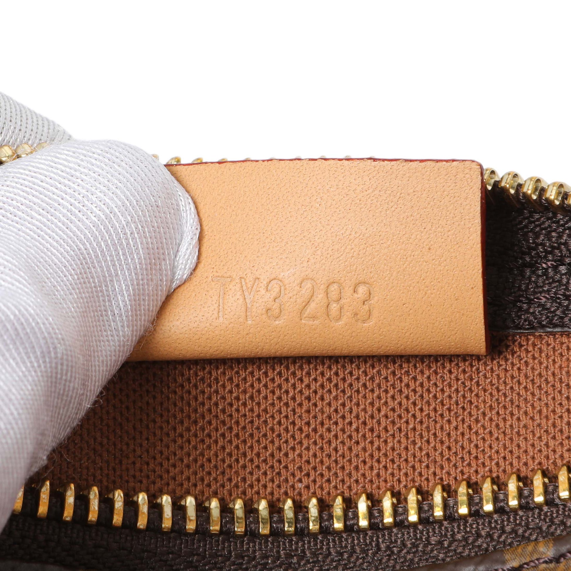 Exclusive Louis Vuitton Monogram Nano Speedy — Lifestyle View