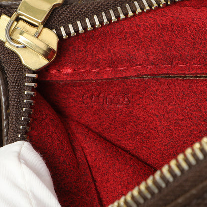 Exclusive Louis Vuitton Monogram Viva Cite PM — Lifestyle View