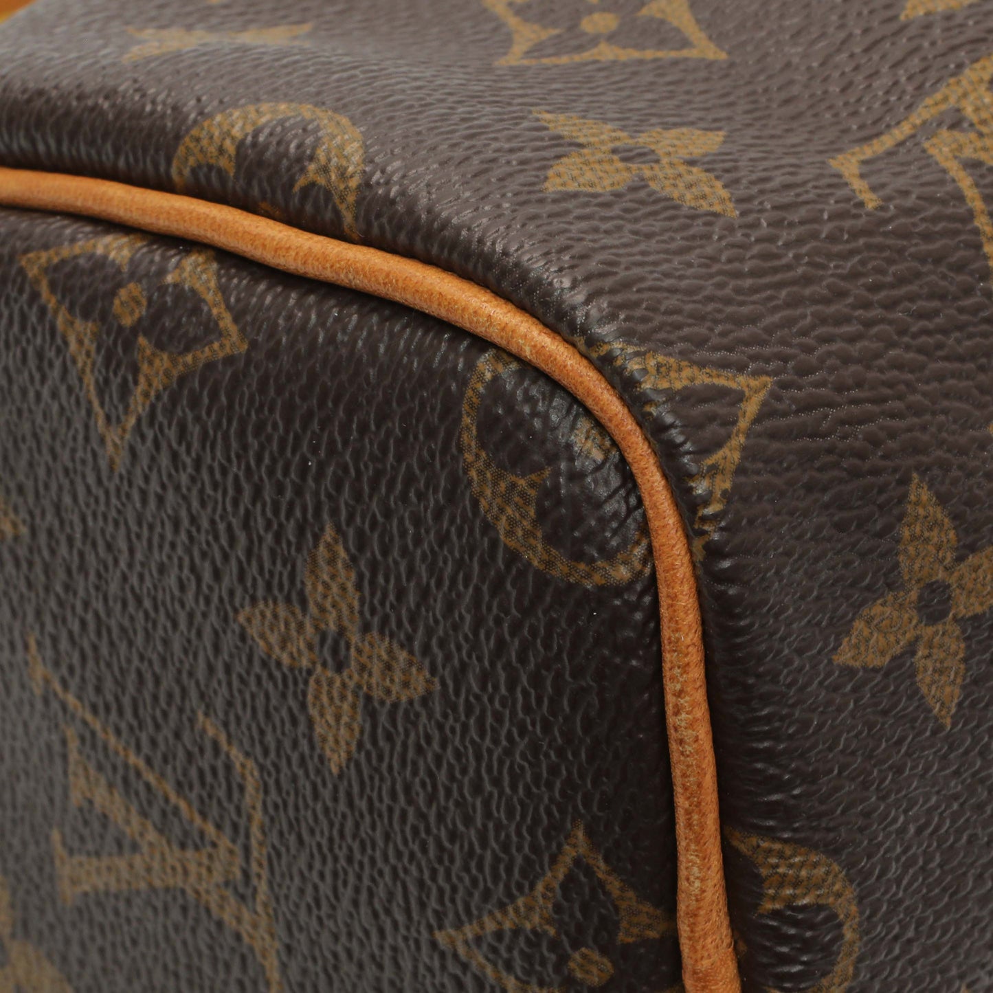 Exclusive Louis Vuitton Monogram Nano Speedy — Lifestyle View