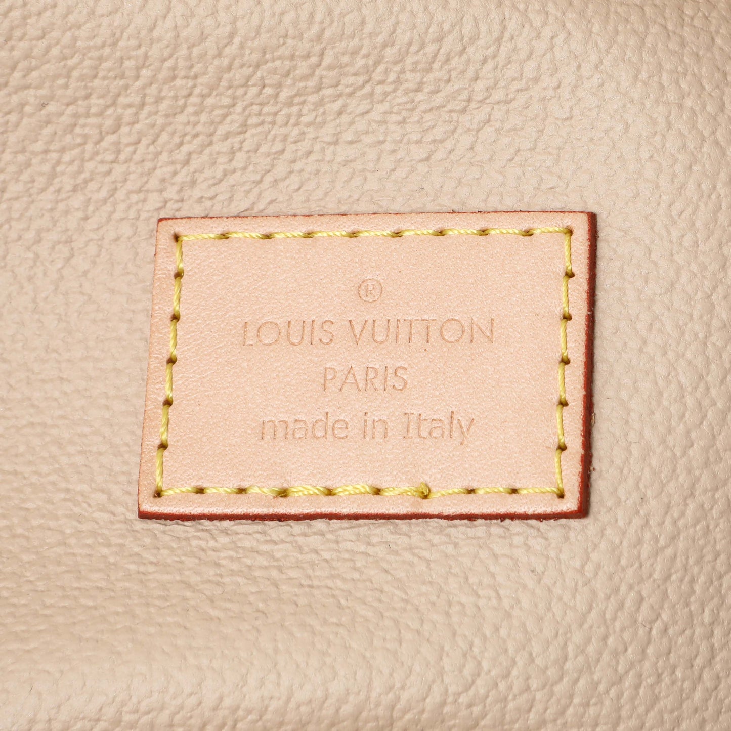Exclusive Louis Vuitton Monogram Nano Nice — Detail View