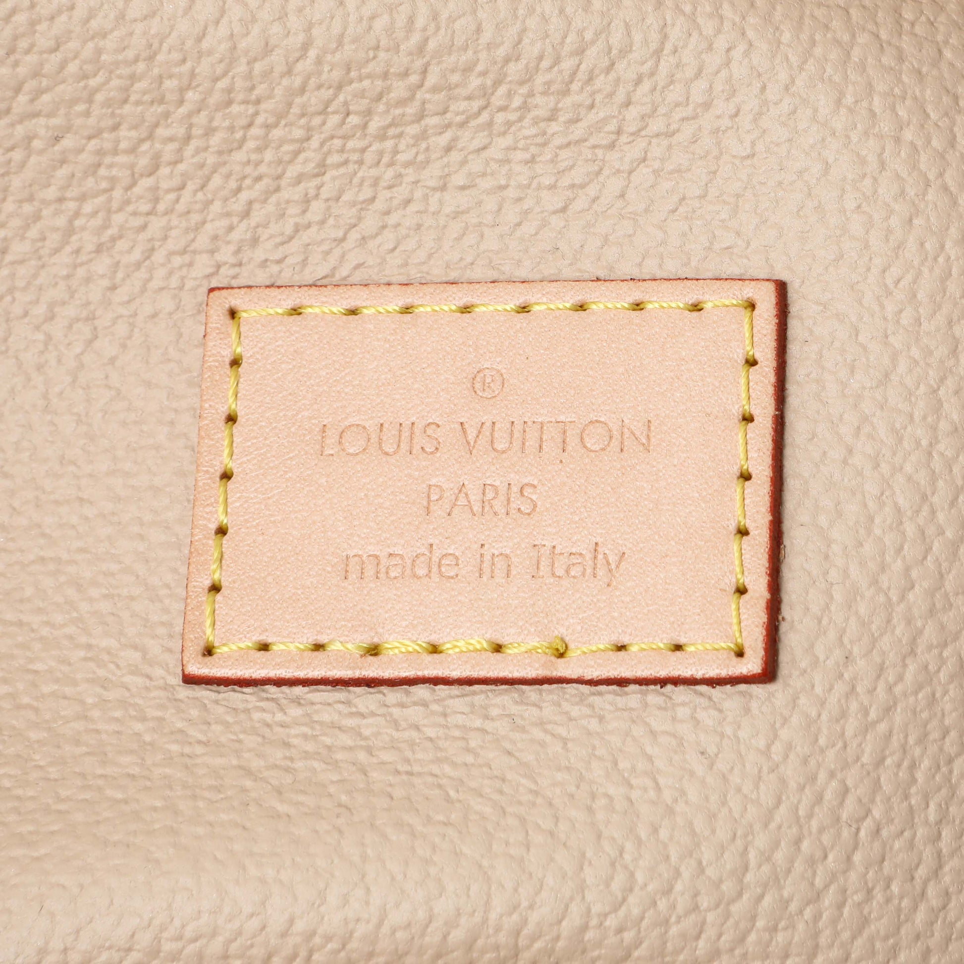 Exclusive Louis Vuitton Monogram Nano Nice — Detail View