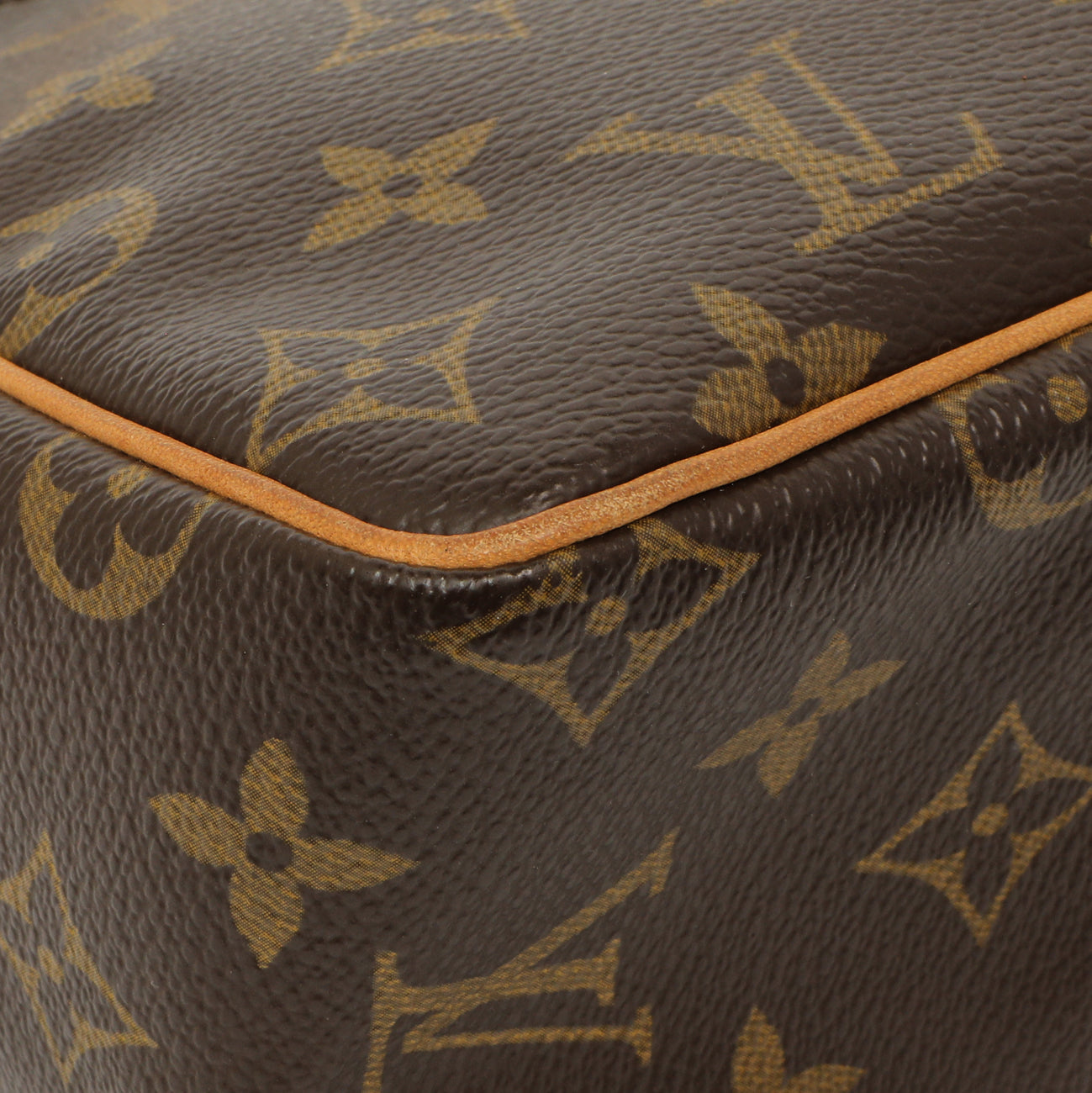 Exclusive Louis Vuitton Monogram Viva Cite PM — Alternate View 9