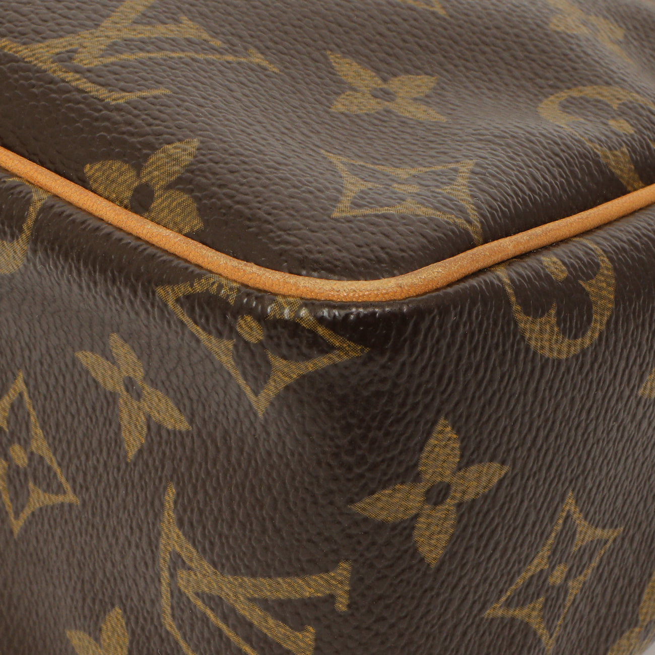 Exclusive Louis Vuitton Monogram Viva Cite PM — Alternate View 10