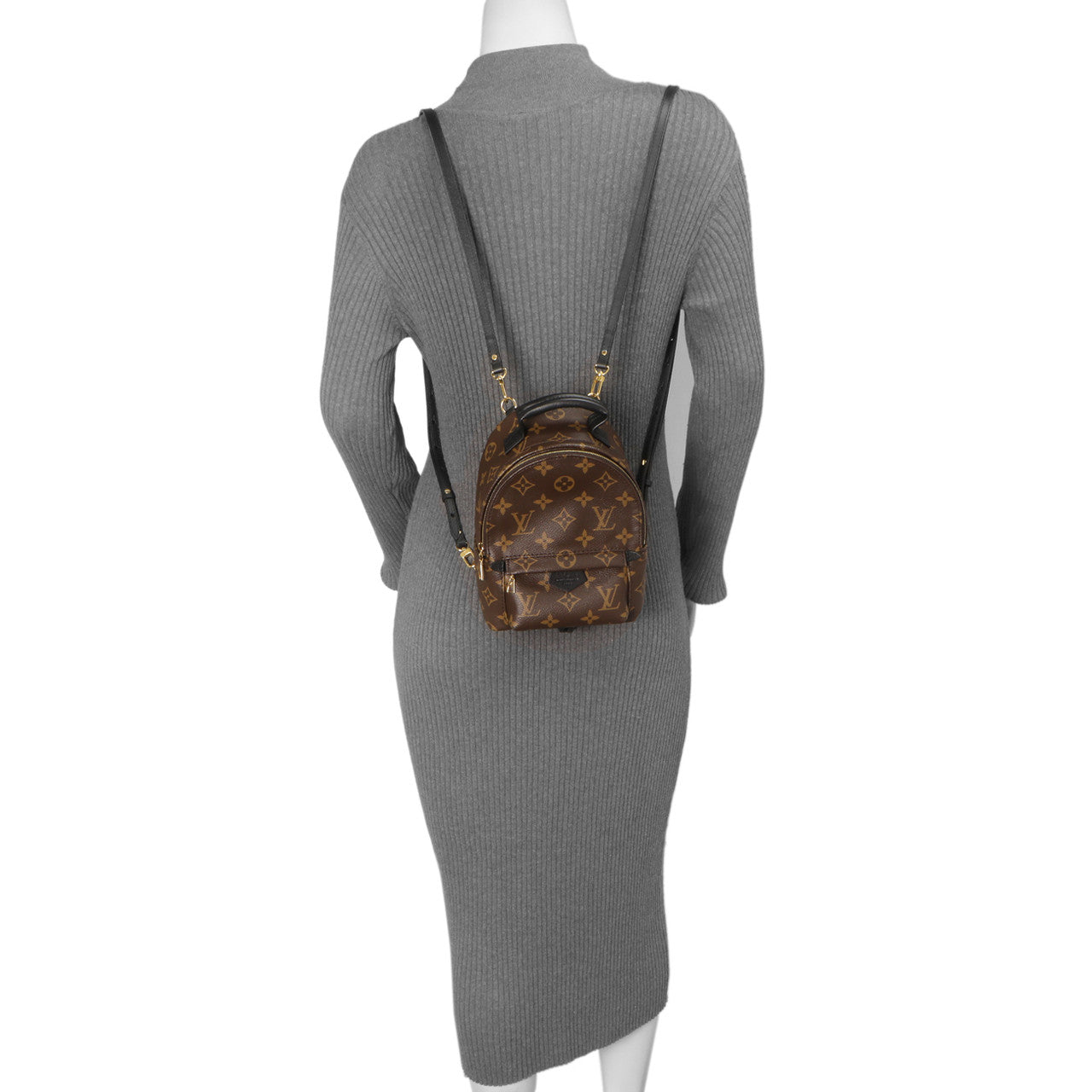 Exclusive Louis Vuitton Monogram Palm Springs Backpack Mini — Alternate View 14