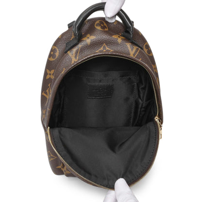 Exclusive Louis Vuitton Monogram Palm Springs Backpack Mini — Alternate View 8