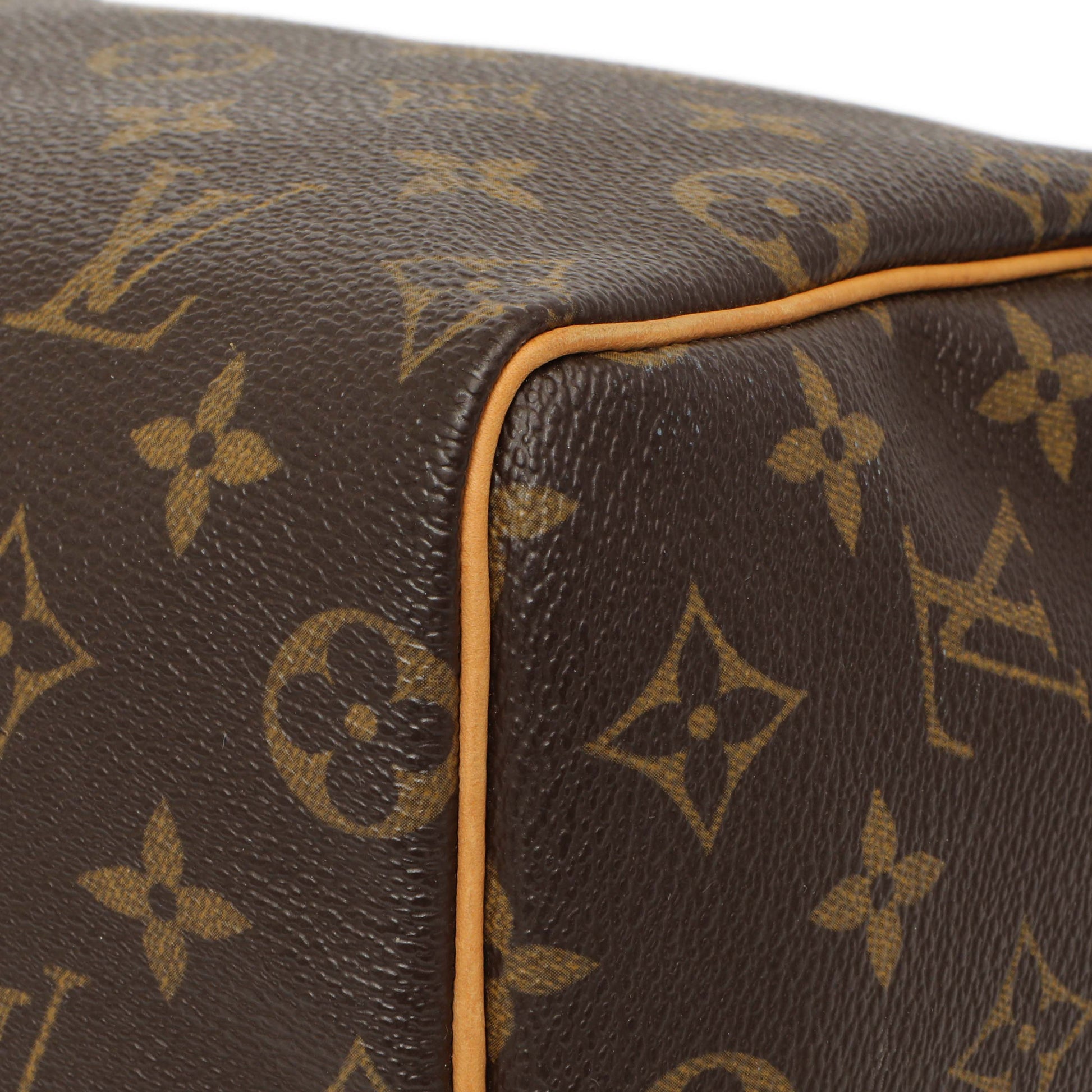 Exclusive Louis Vuitton Monogram Speedy 25 — Detail View