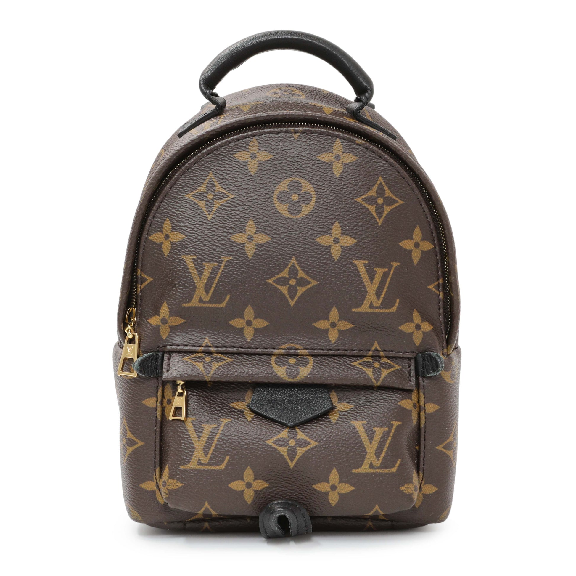 Exclusive Louis Vuitton Monogram Palm Springs Backpack Mini — Front View