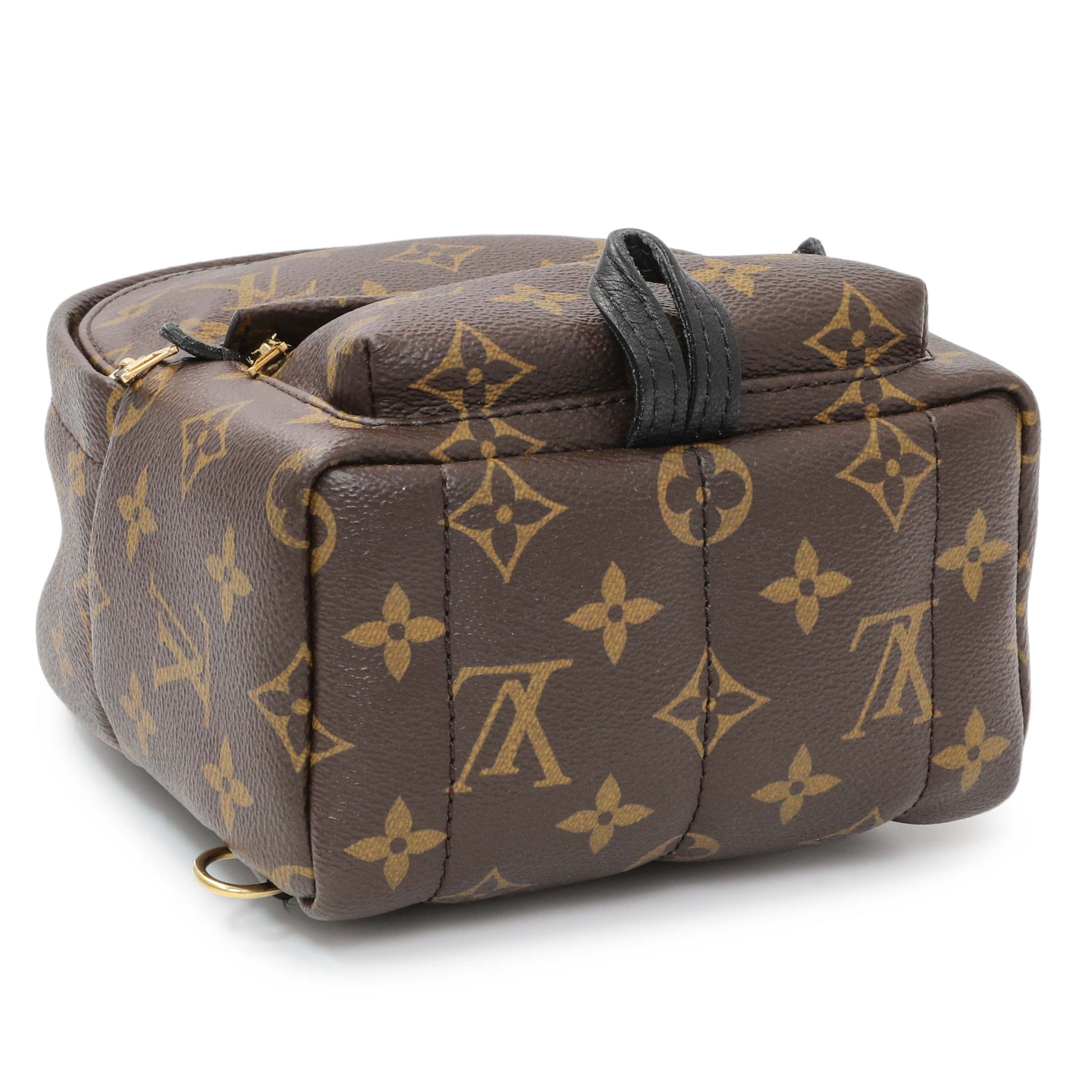 Exclusive Louis Vuitton Monogram Palm Springs Backpack Mini — Back View