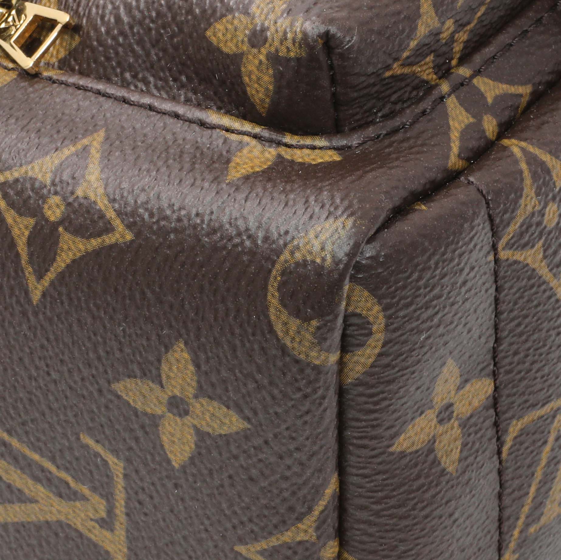 Exclusive Louis Vuitton Monogram Palm Springs Backpack Mini — Top View