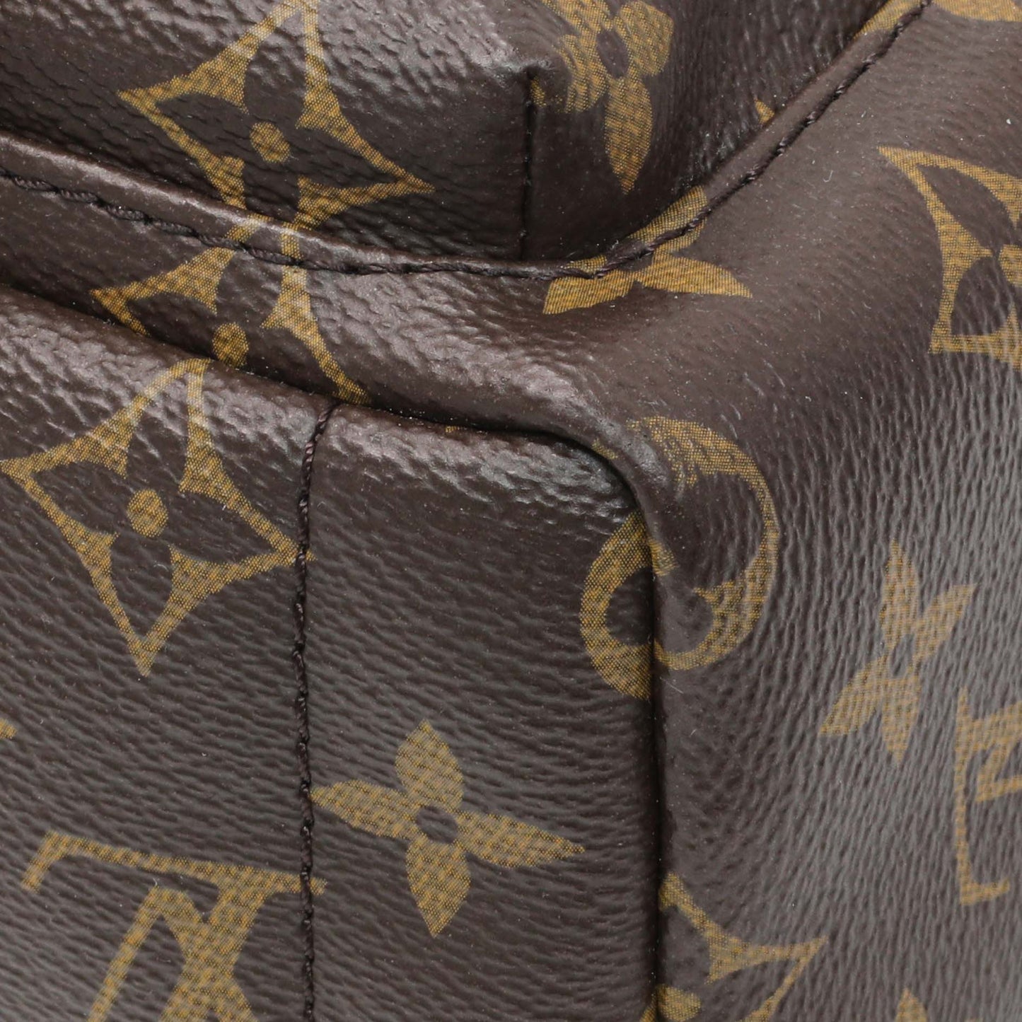 Exclusive Louis Vuitton Monogram Palm Springs Backpack Mini — Detail View